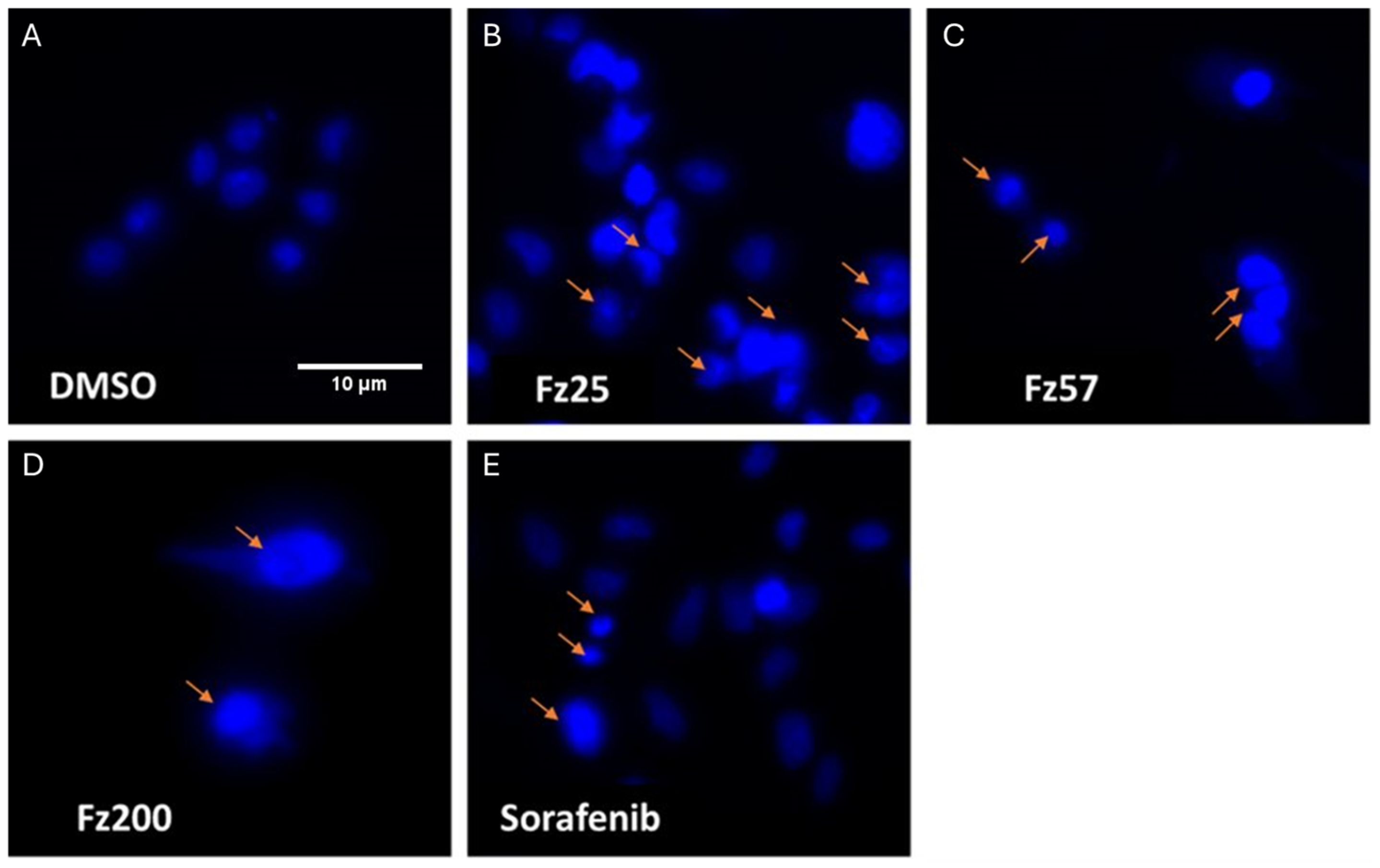 Molecules 30 00605 g009