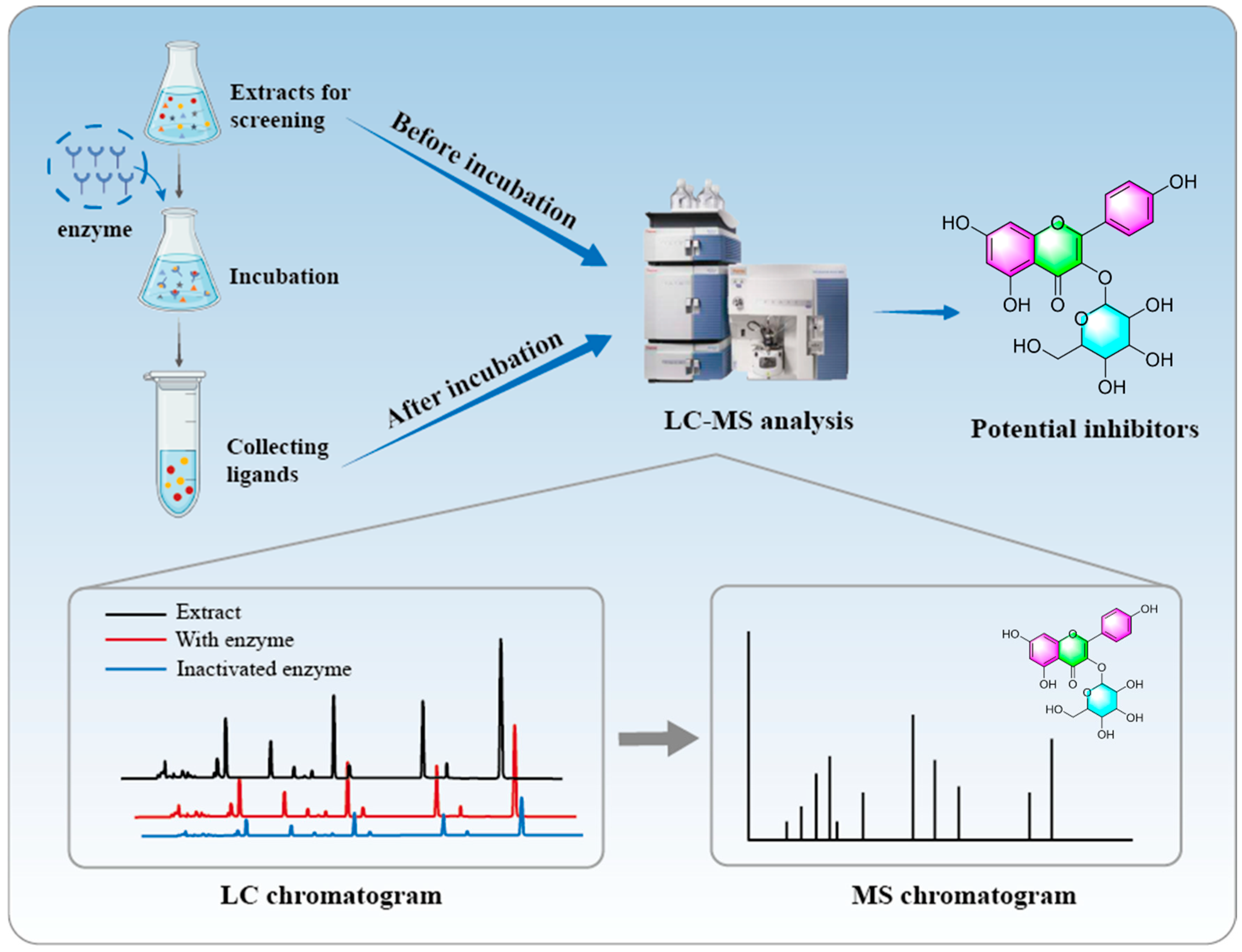 Molecules 30 00608 g002