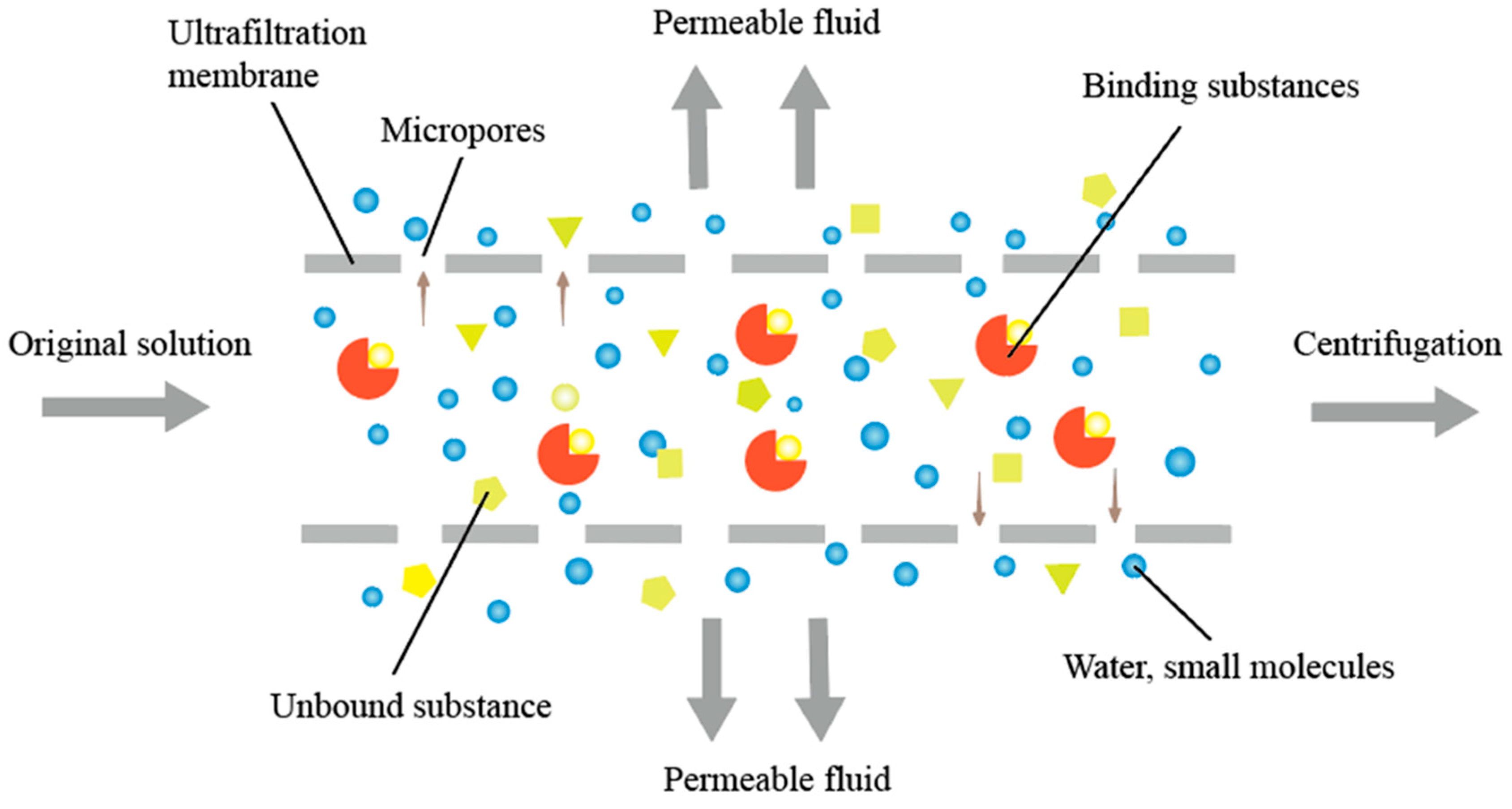 Molecules 30 00608 g003