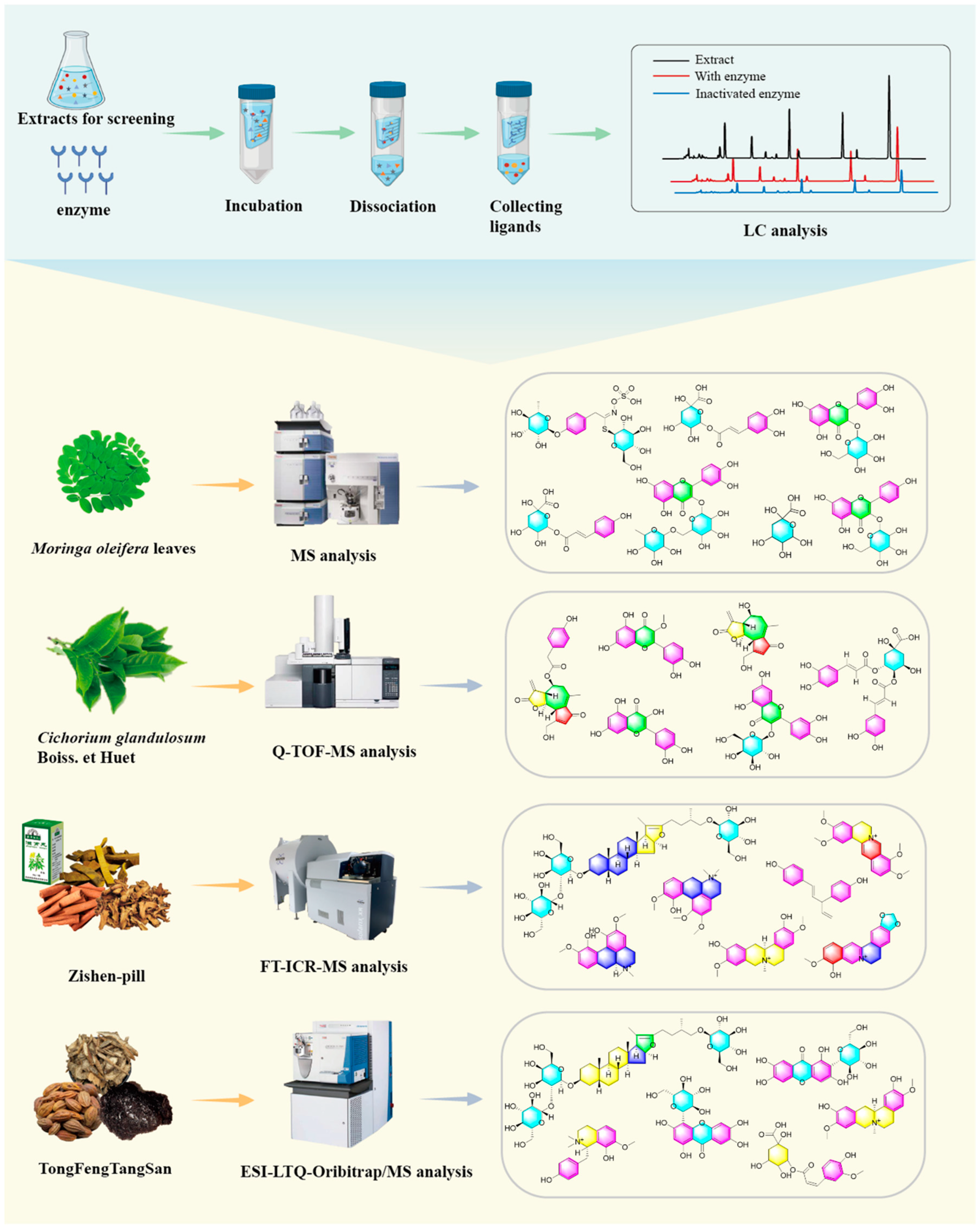 Molecules 30 00608 g004