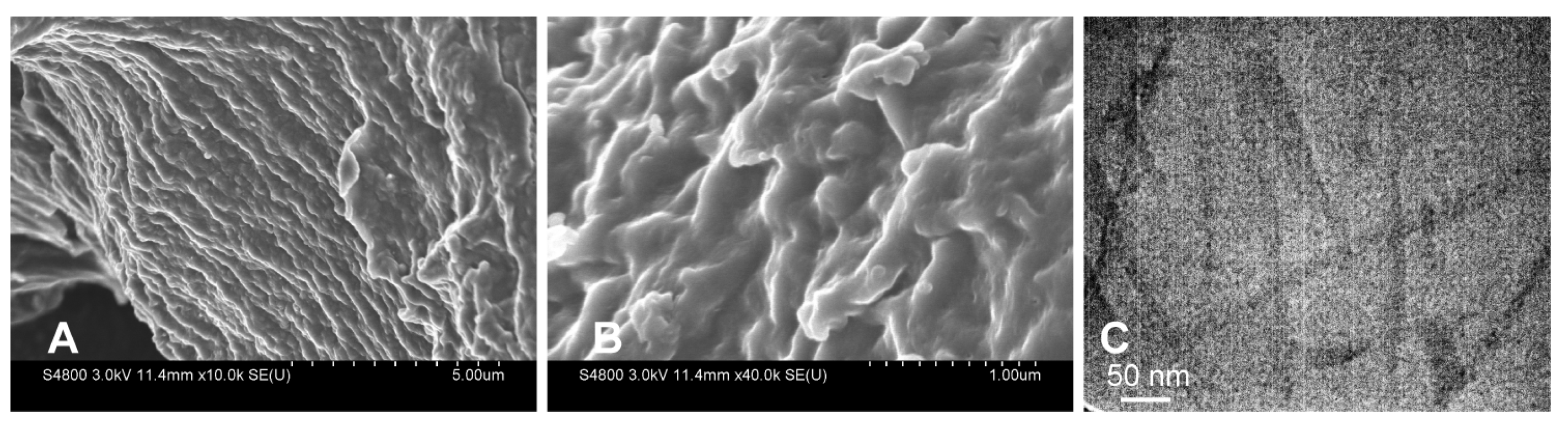 Molecules 30 00615 g004