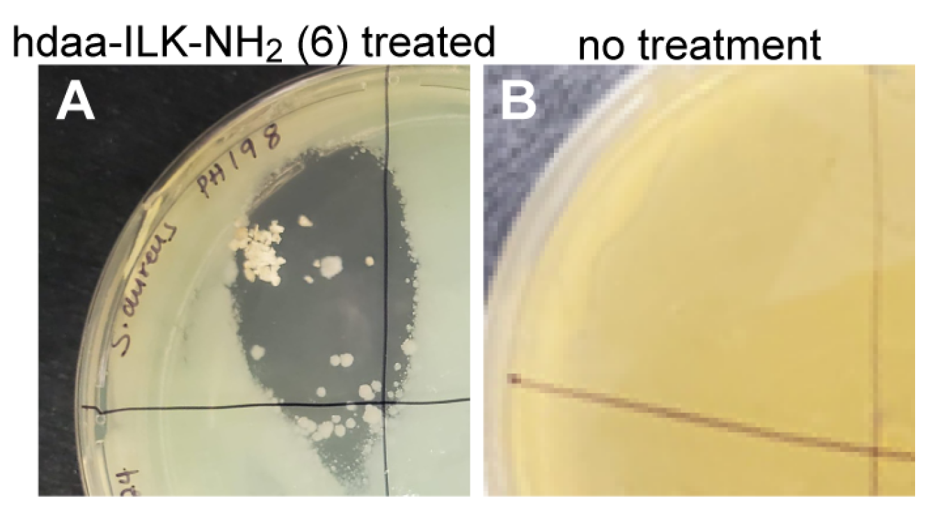 Molecules 30 00615 g005