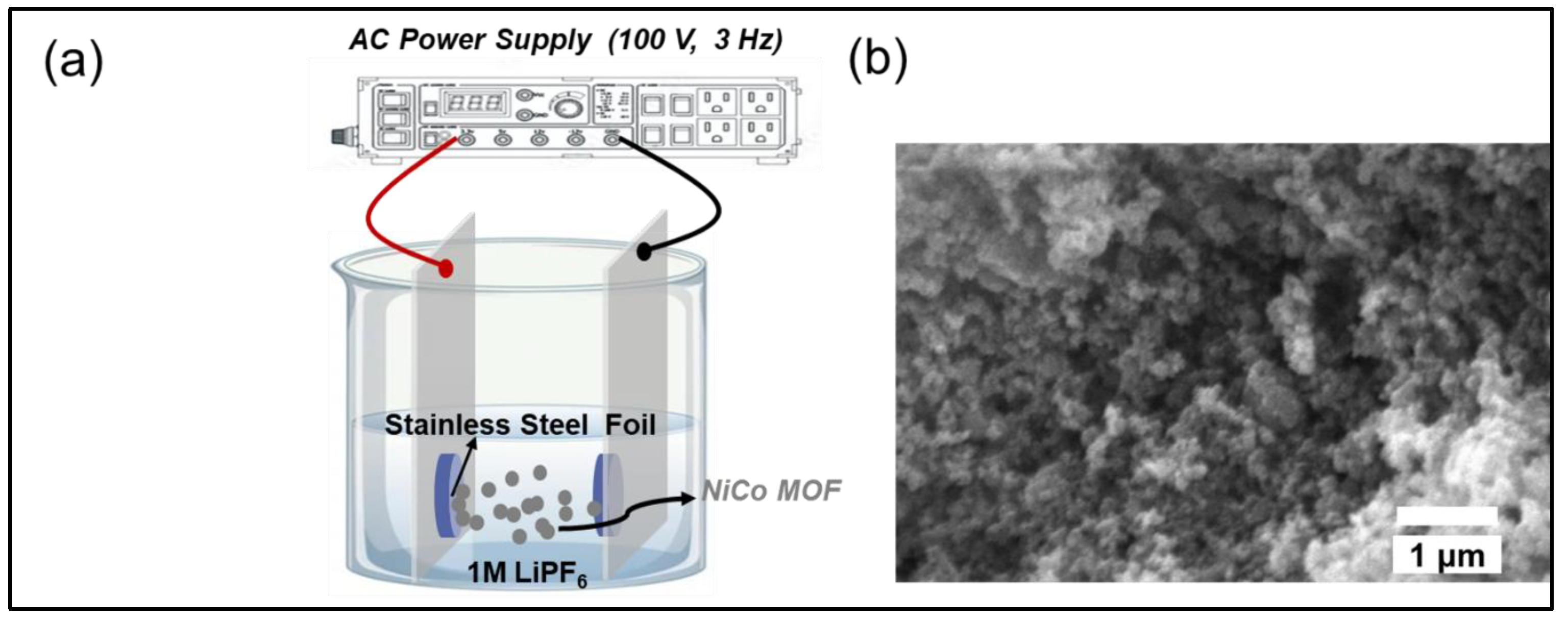 Molecules 30 00616 g001