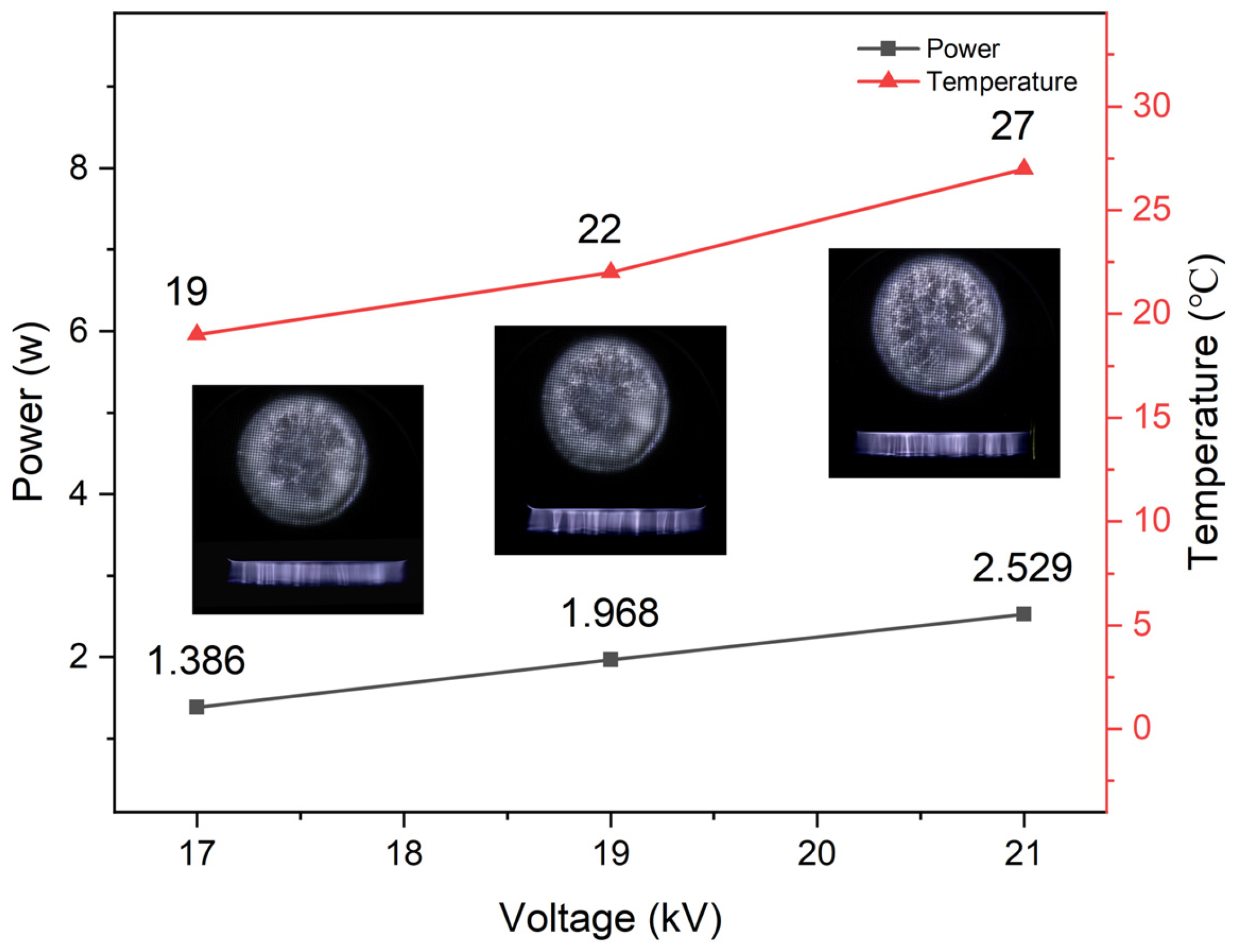 Molecules 30 00625 g002