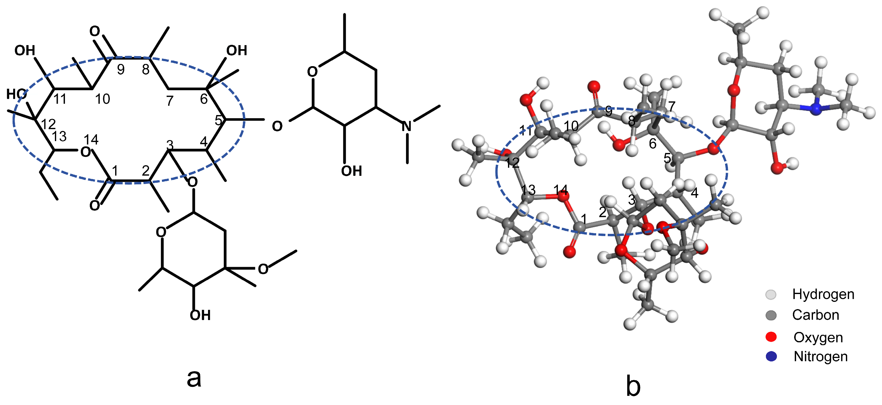 Molecules 30 00625 g005