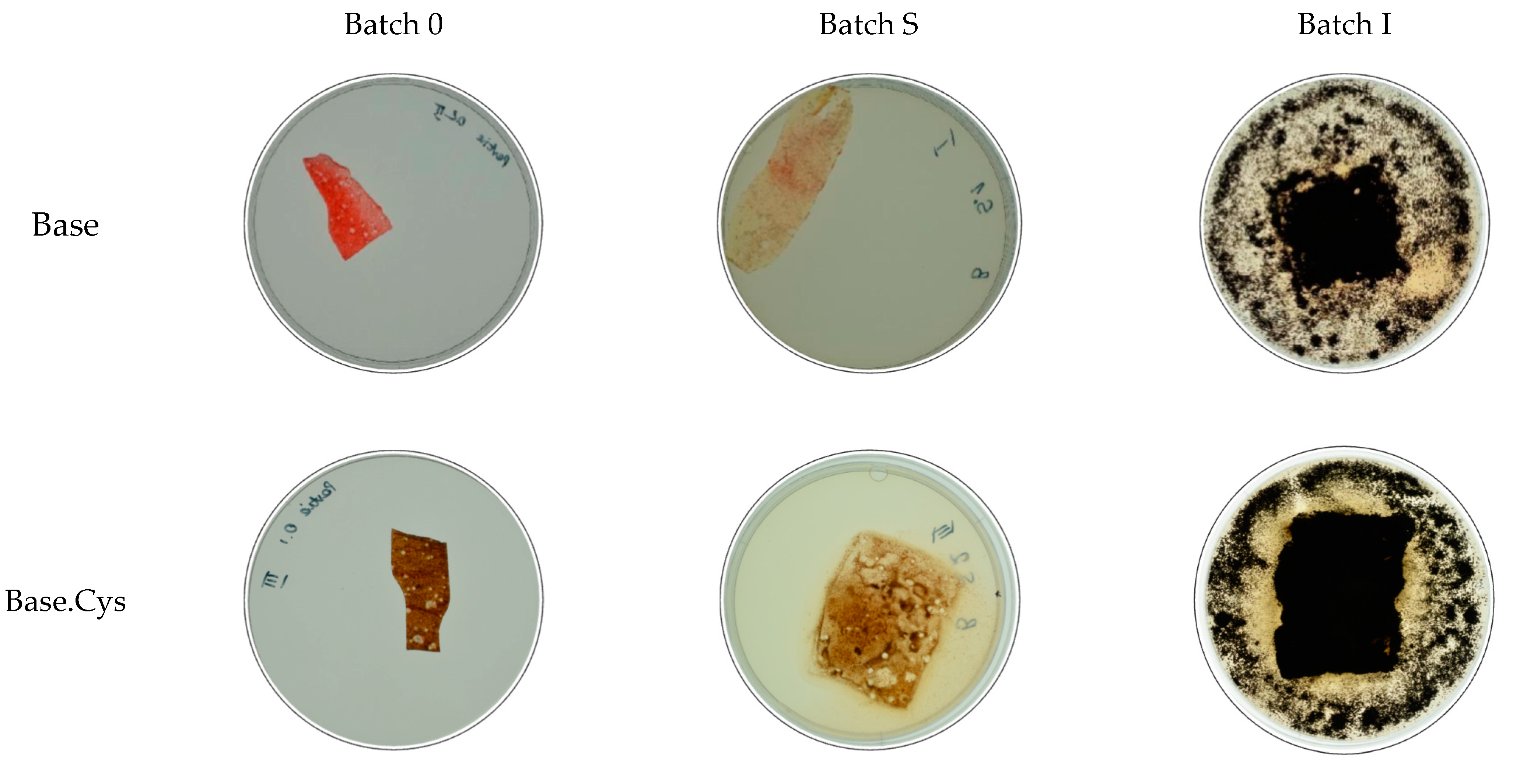 Molecules 30 00627 g010