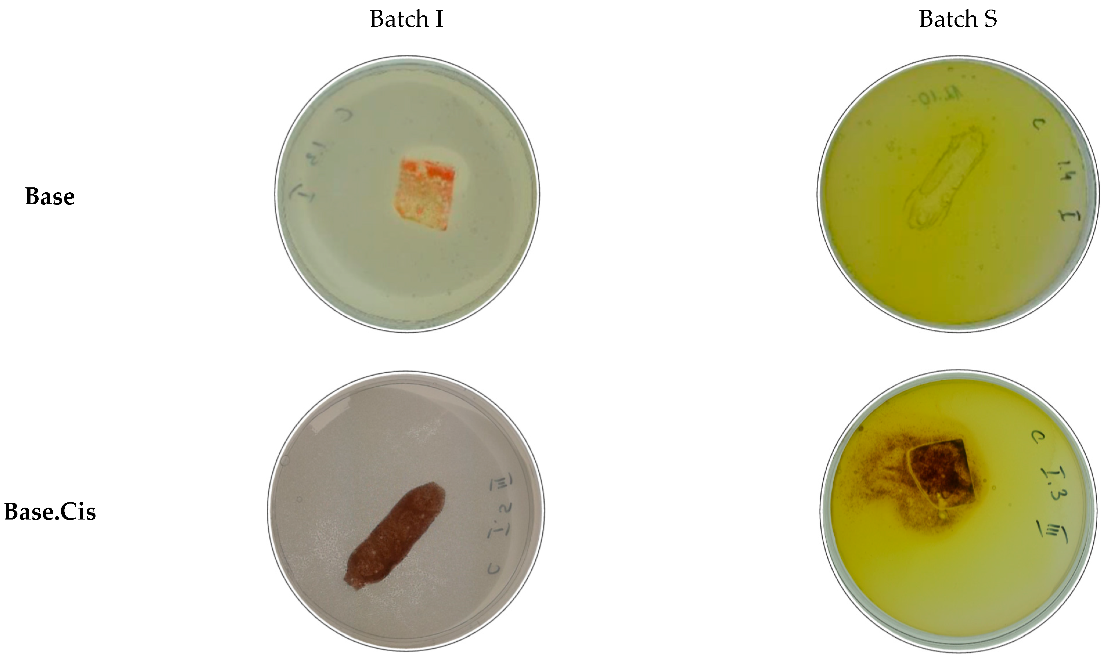Molecules 30 00627 g011