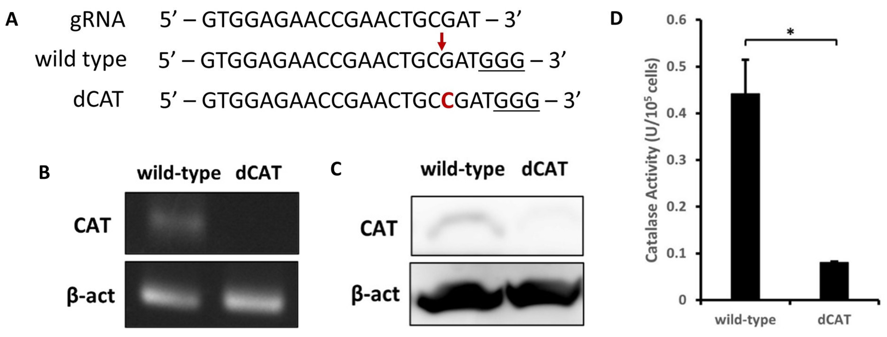 Molecules 30 00629 g001