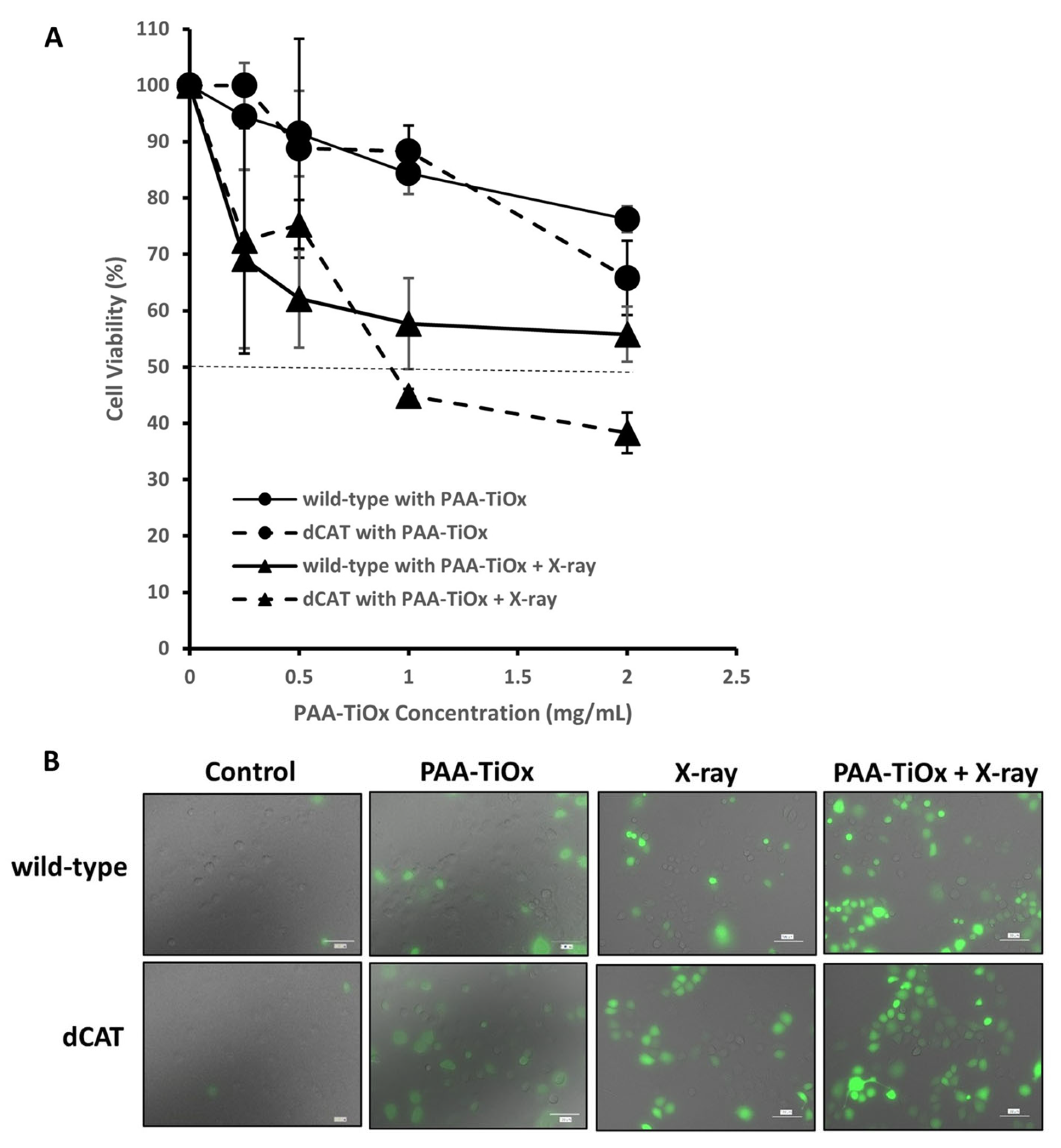 Molecules 30 00629 g002