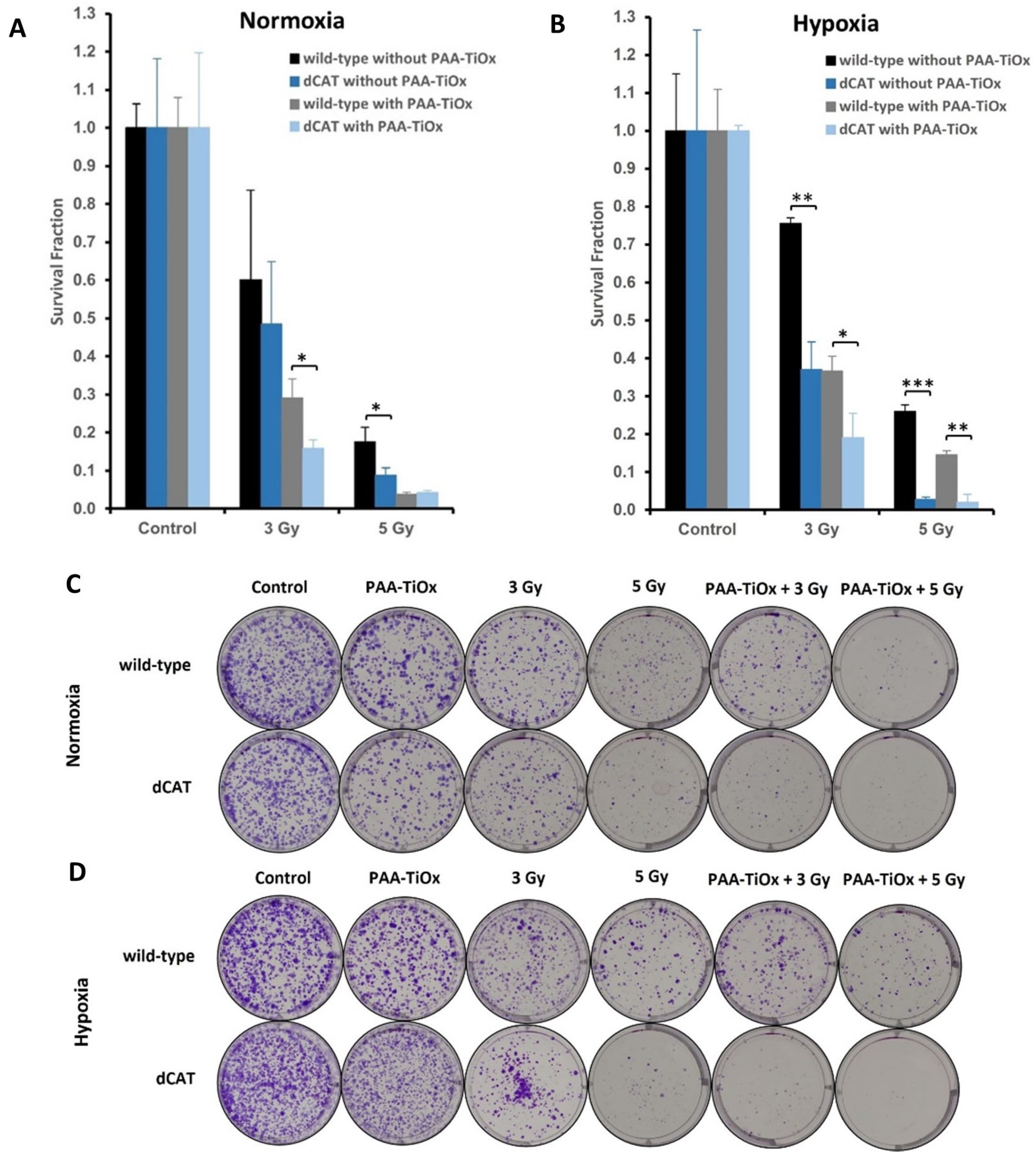 Molecules 30 00629 g004