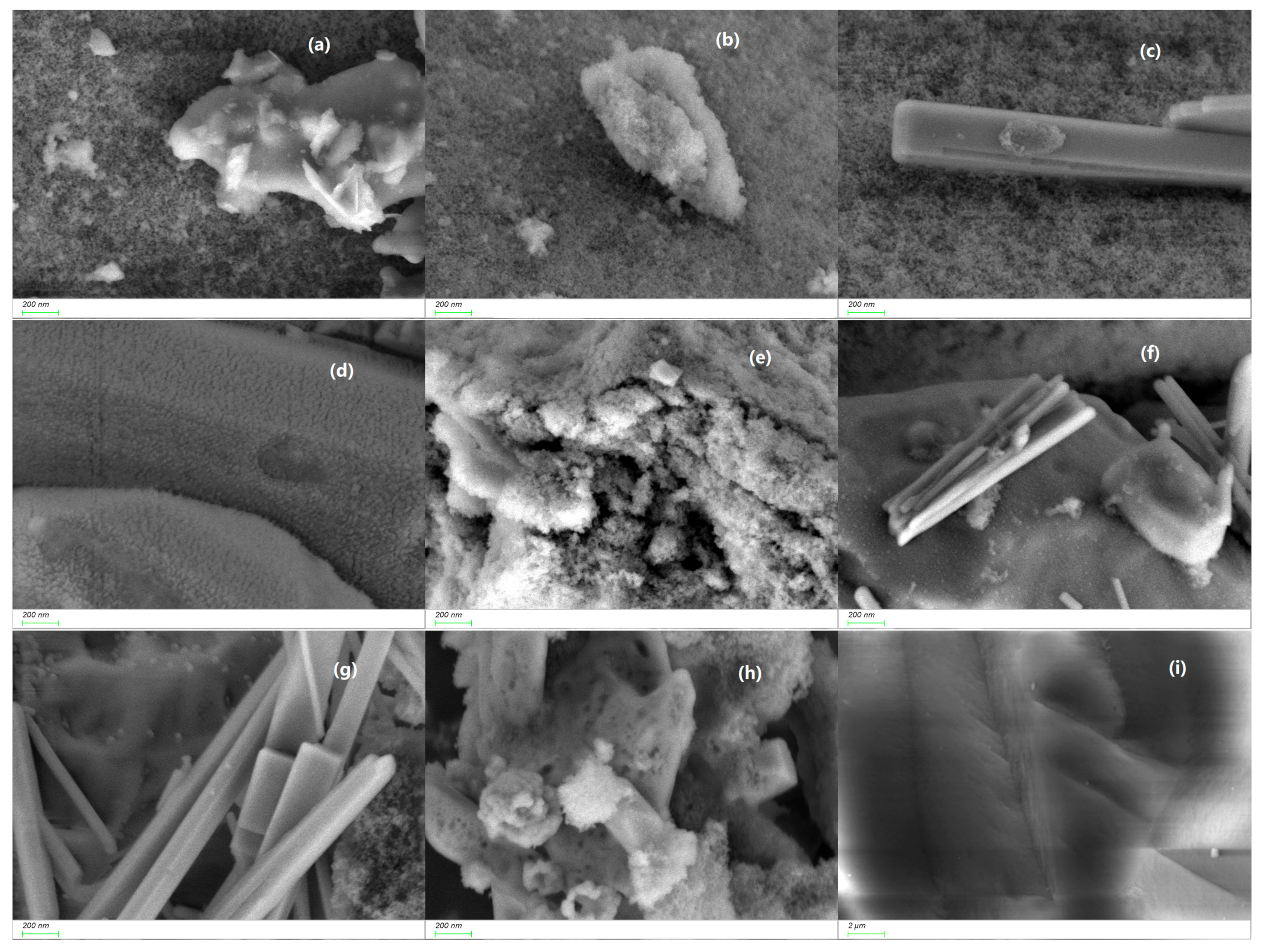 Molecules 30 00633 g002