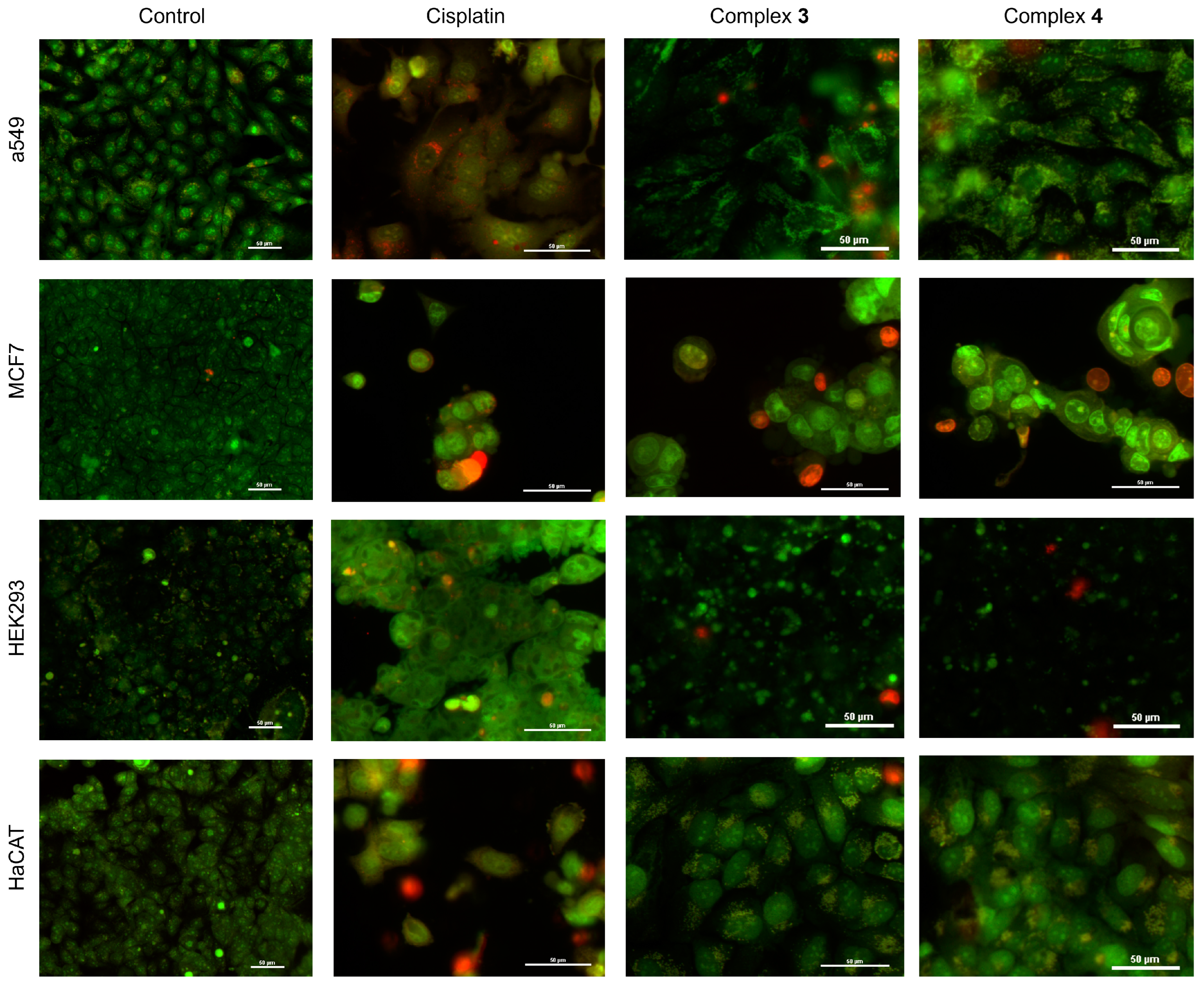 Molecules 30 00634 g011