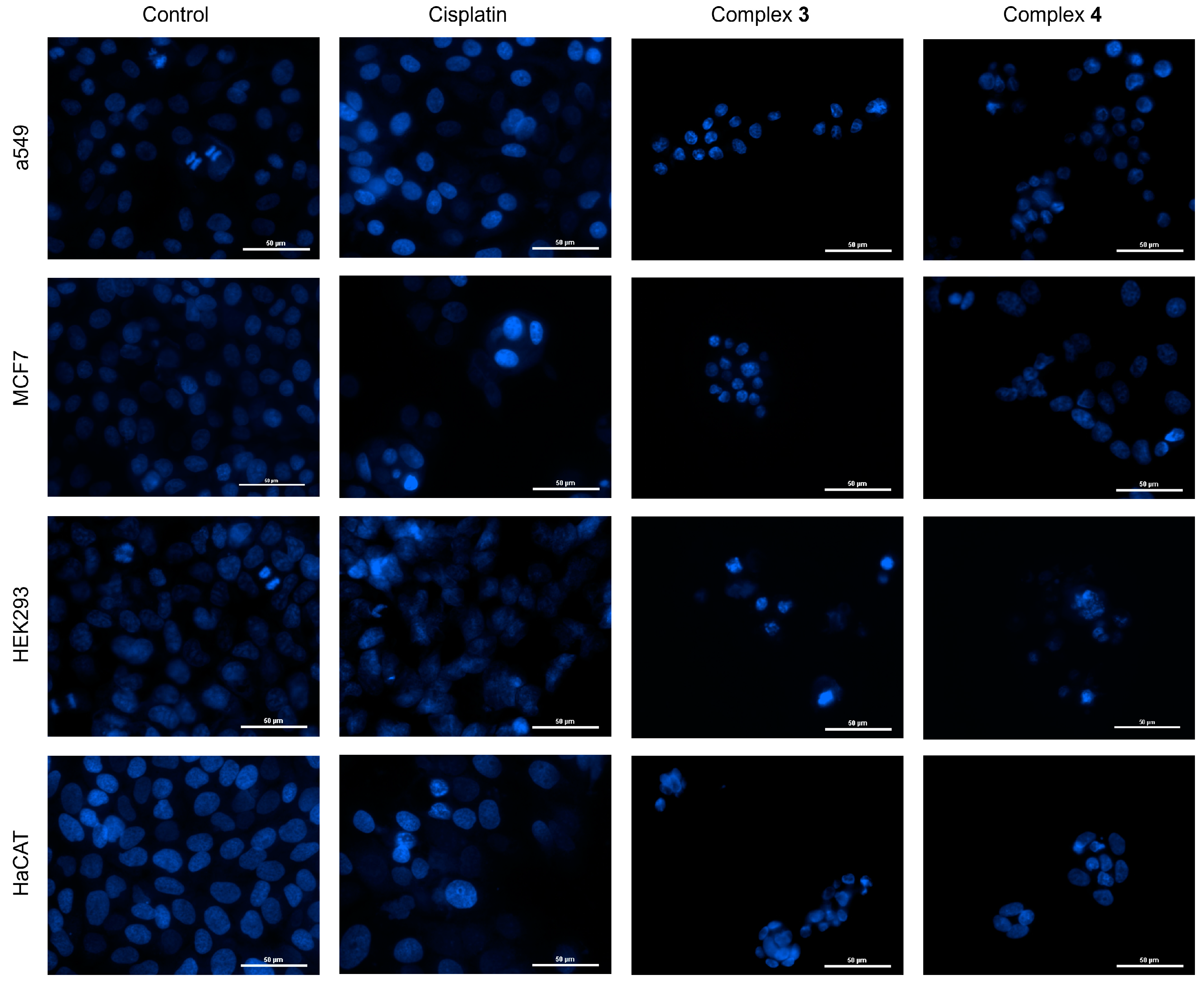 Molecules 30 00634 g012