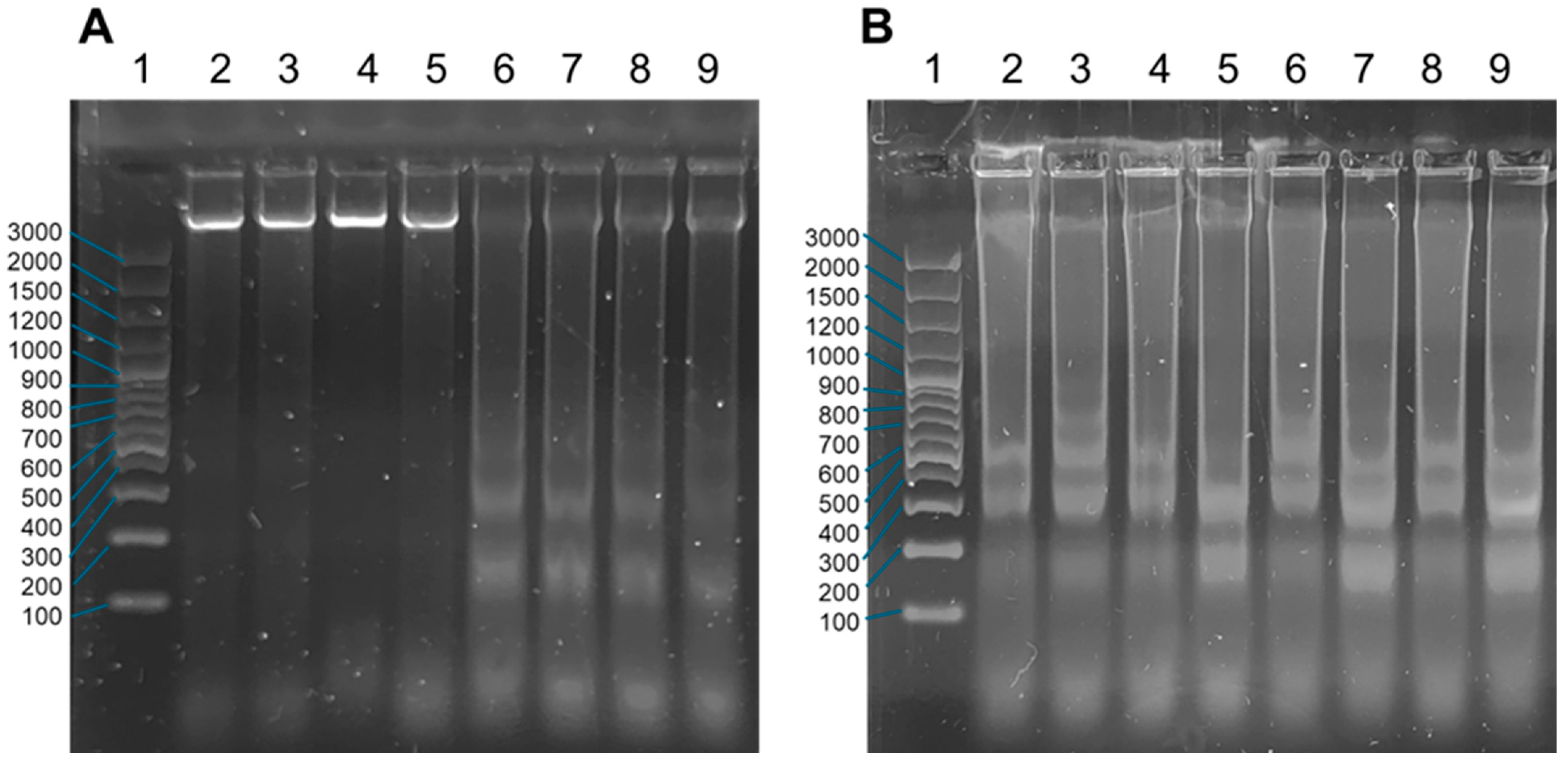 Molecules 30 00634 g013
