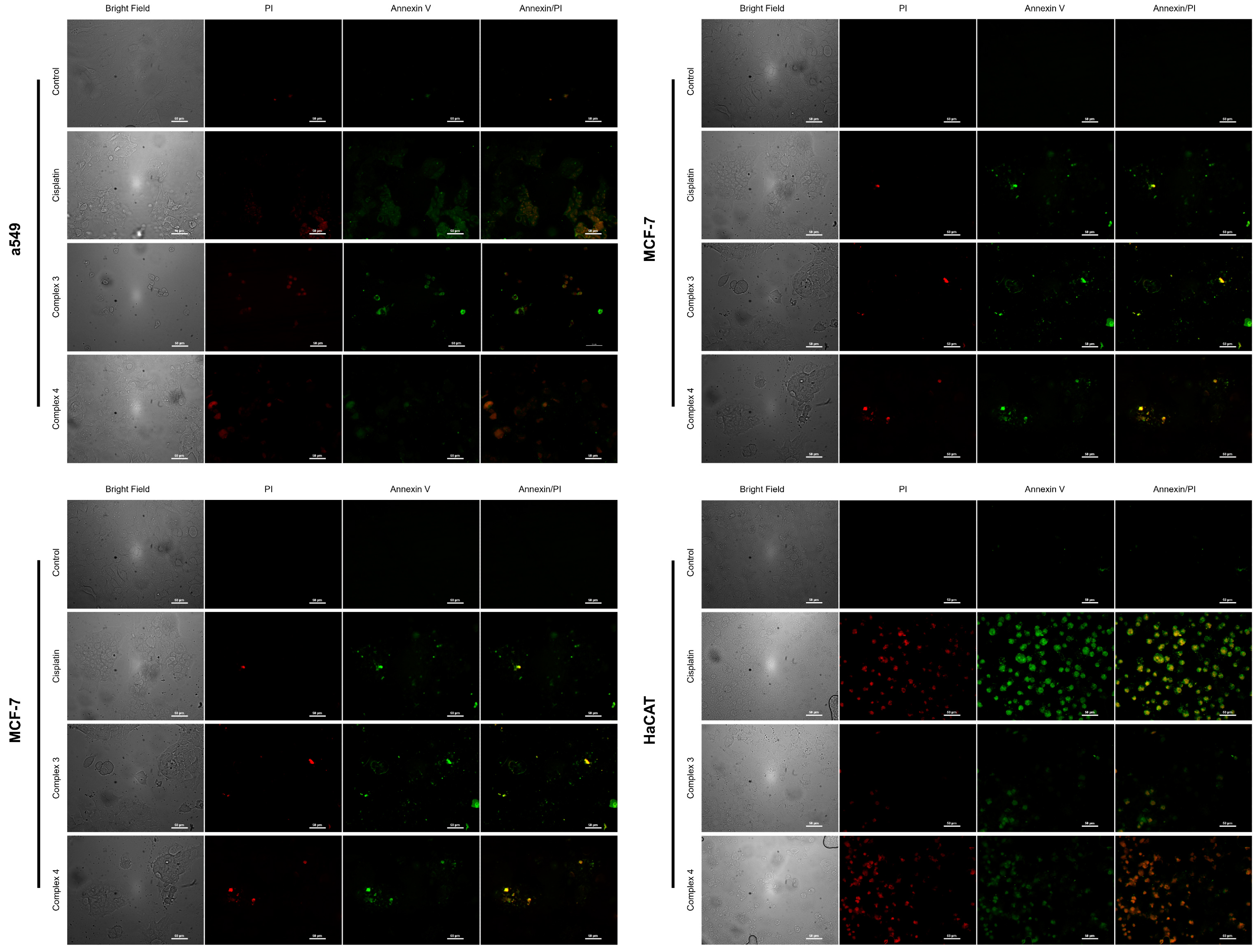 Molecules 30 00634 g014