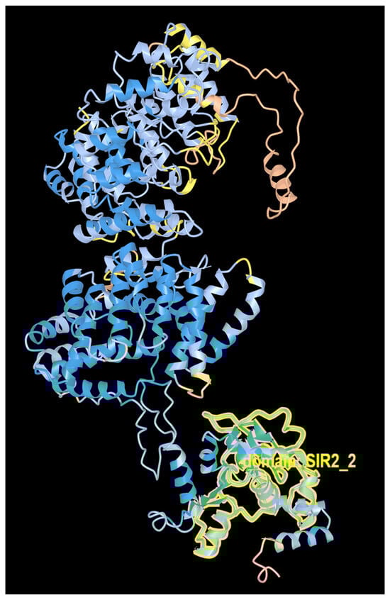 Molecules 30 00635 g0a3
