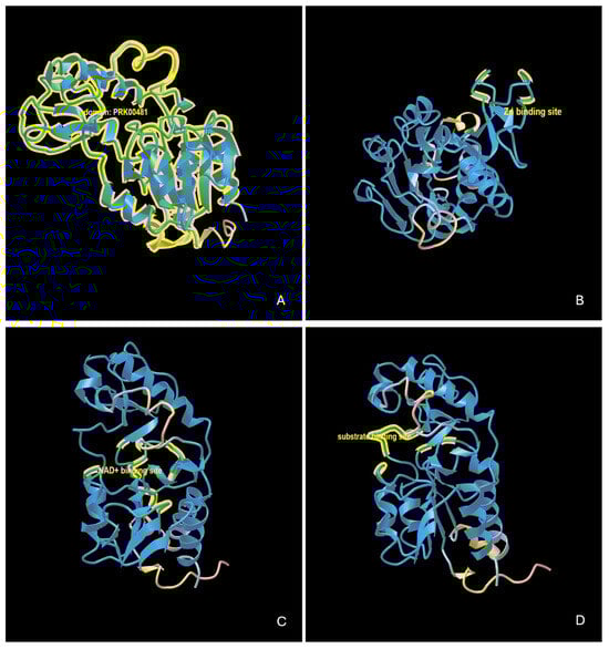 Molecules 30 00635 g0a5