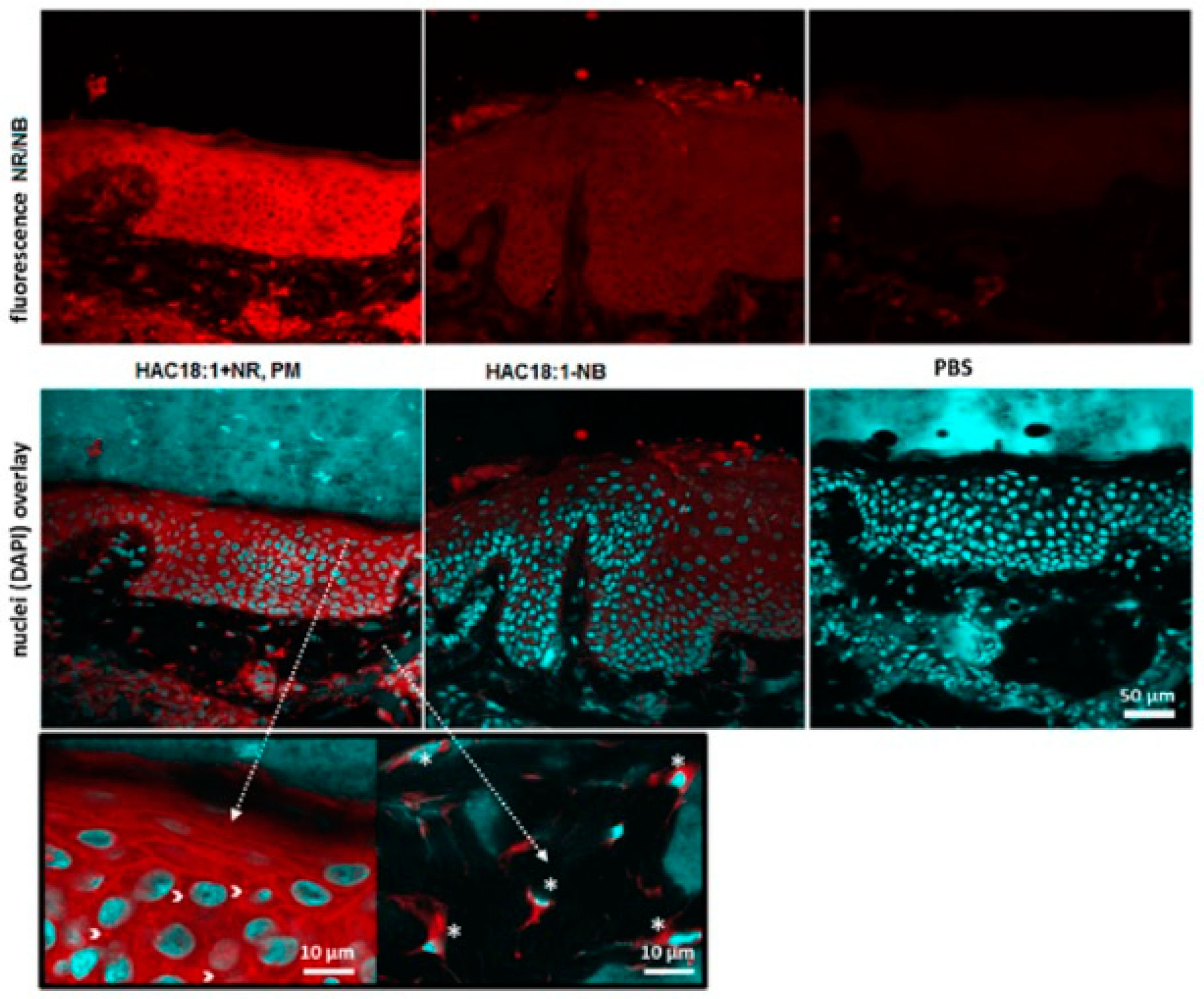 Molecules 30 00641 g002