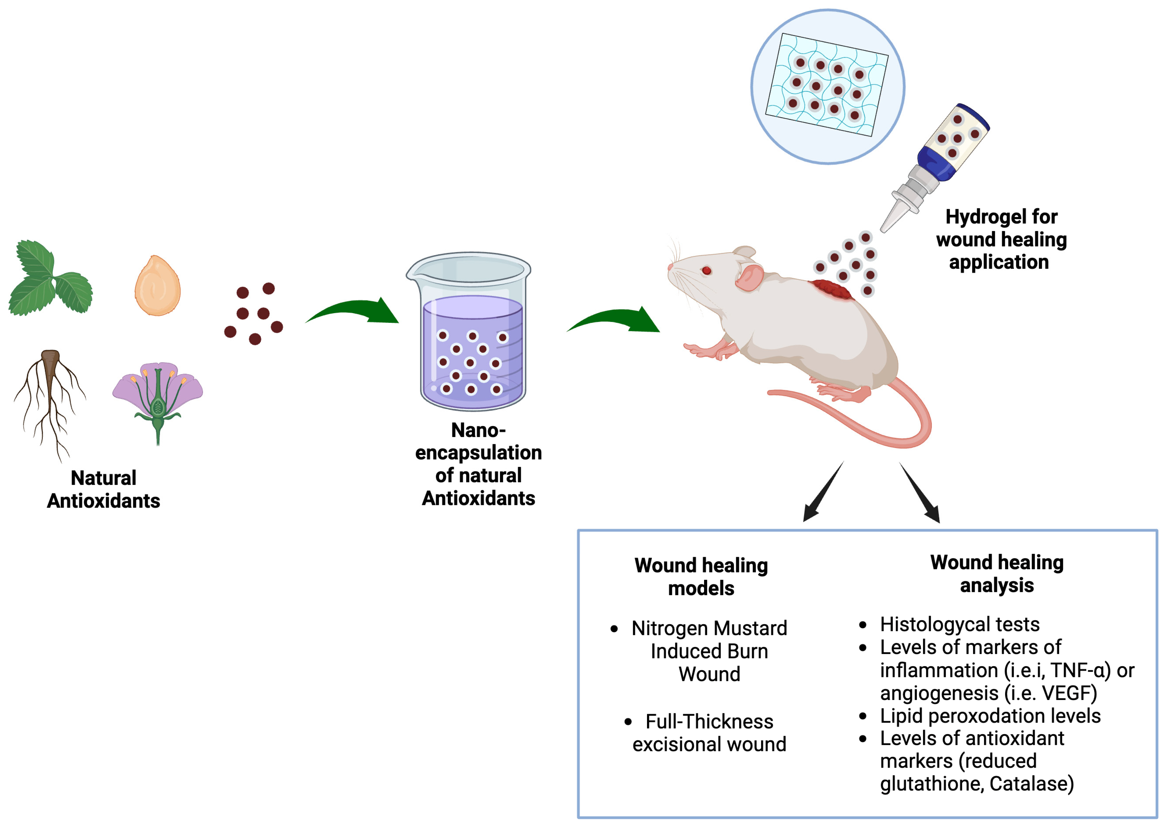 Molecules 30 00641 g007