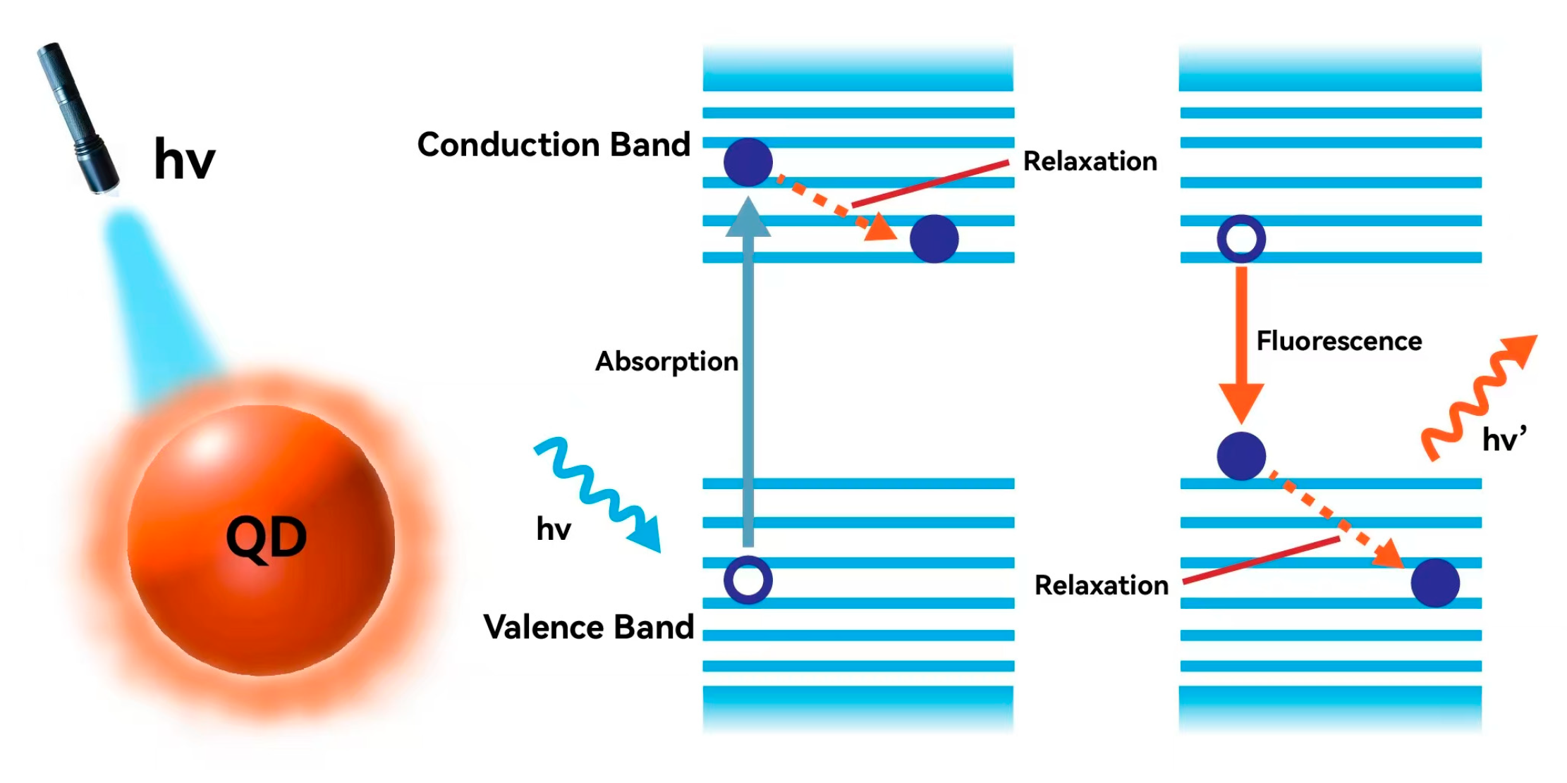 Molecules 30 00643 g001