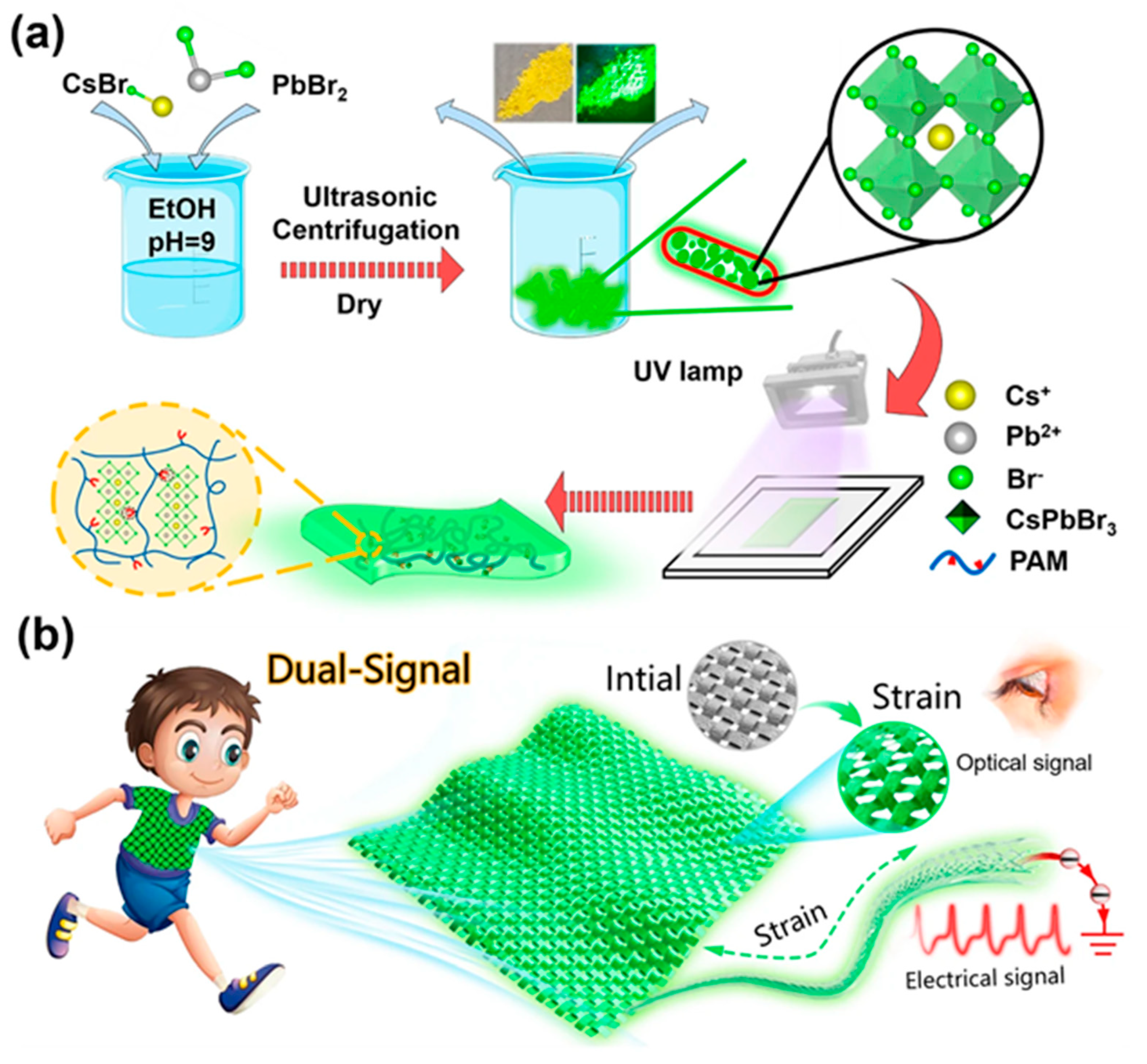 Molecules 30 00643 g003