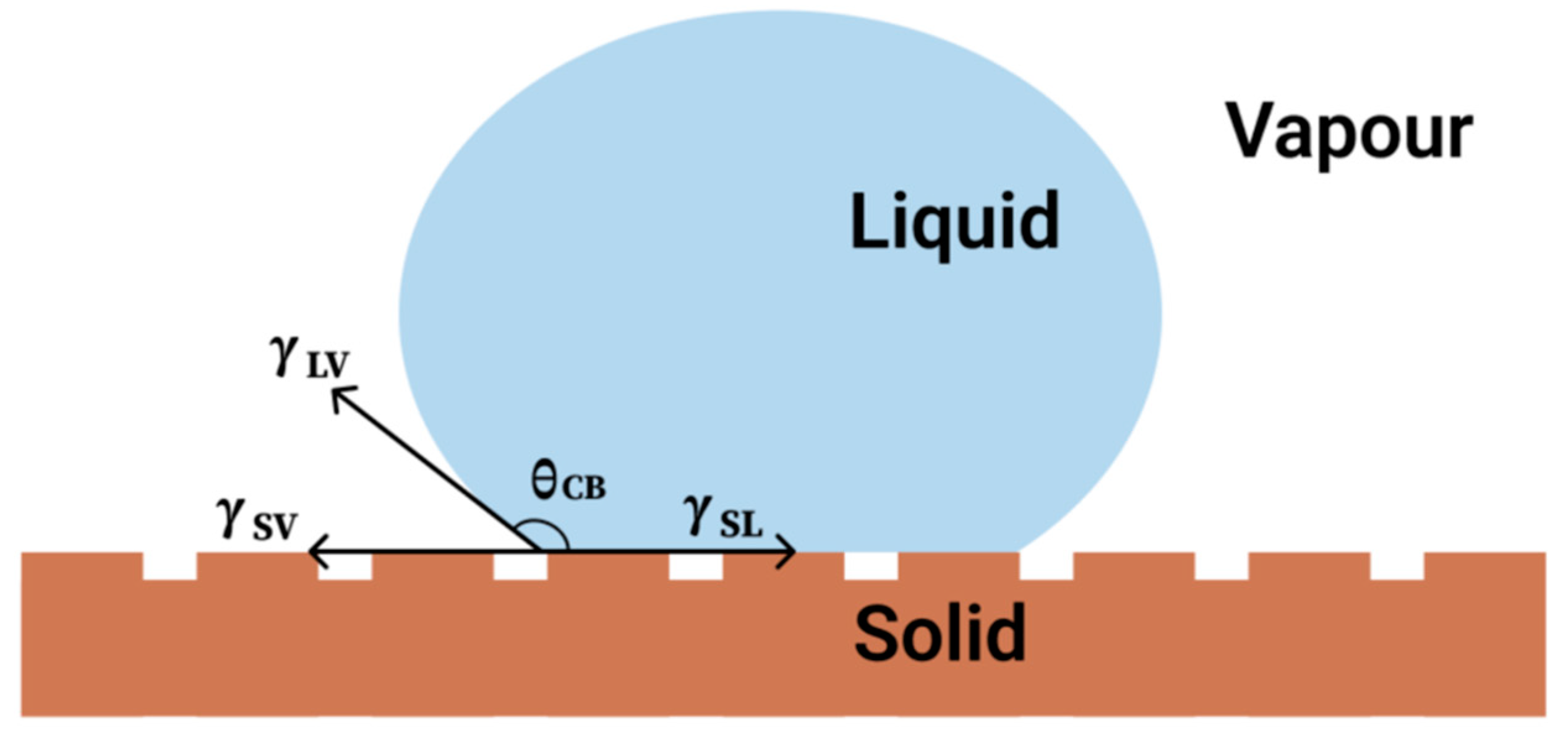 Molecules 30 00644 g003