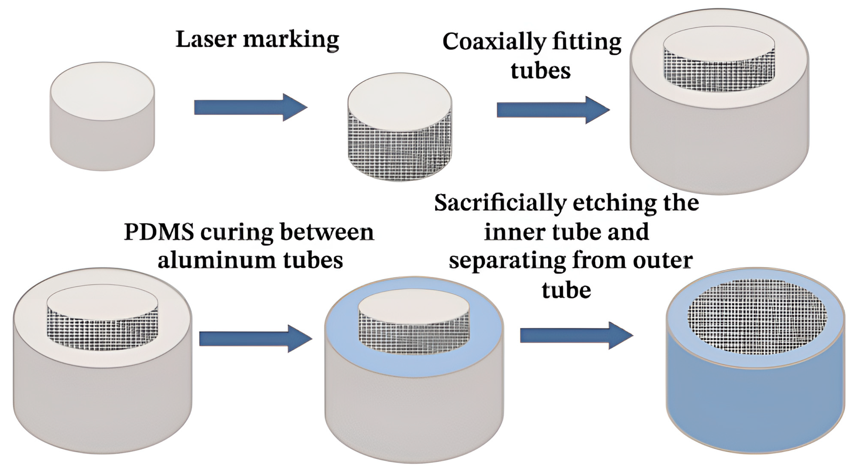 Molecules 30 00644 g005