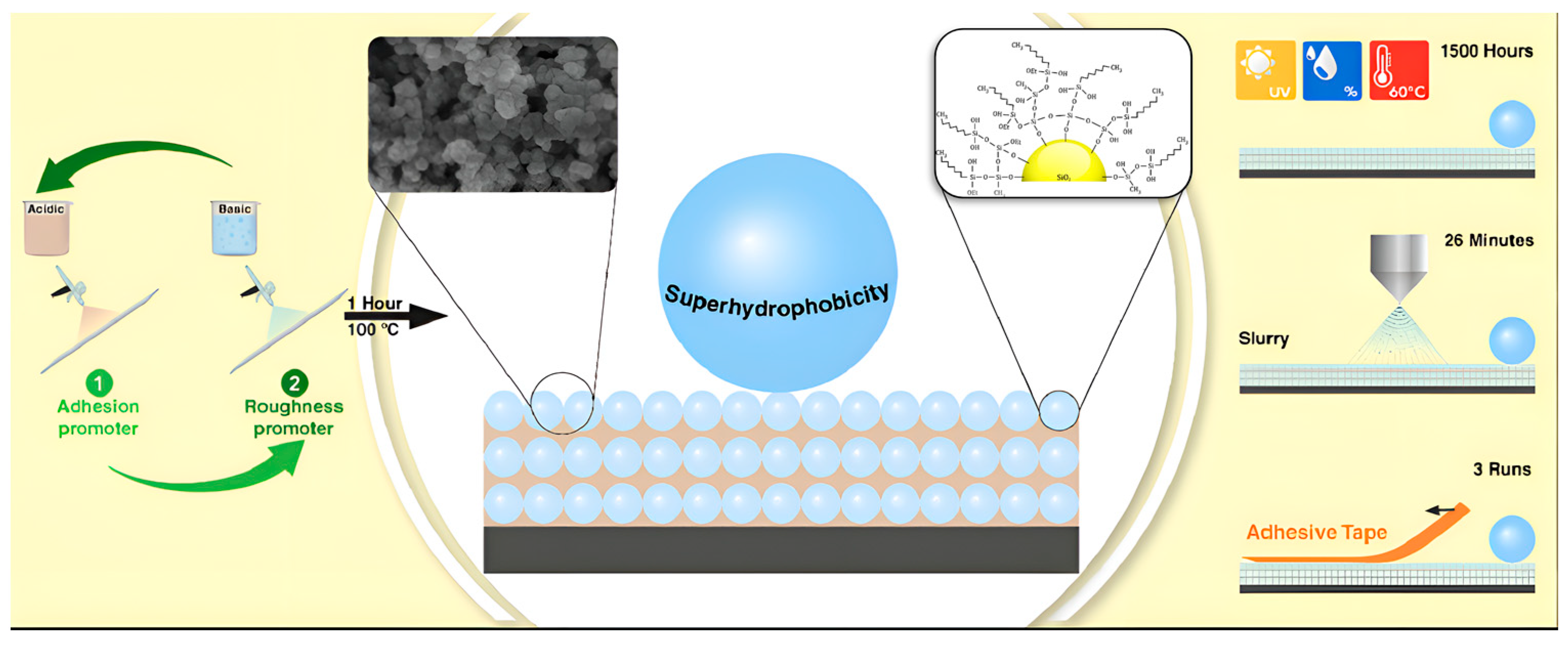 Molecules 30 00644 g006