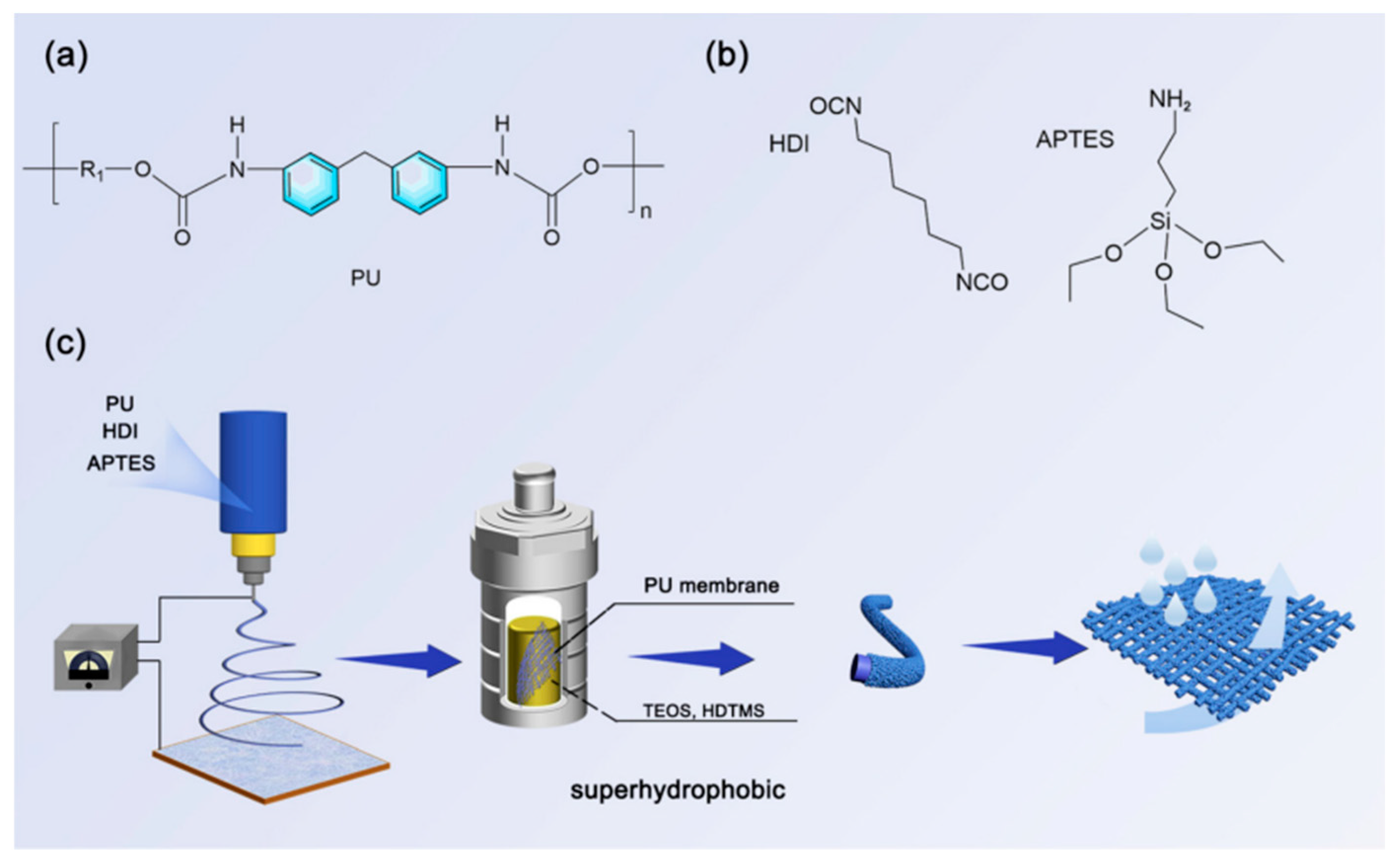 Molecules 30 00644 g014