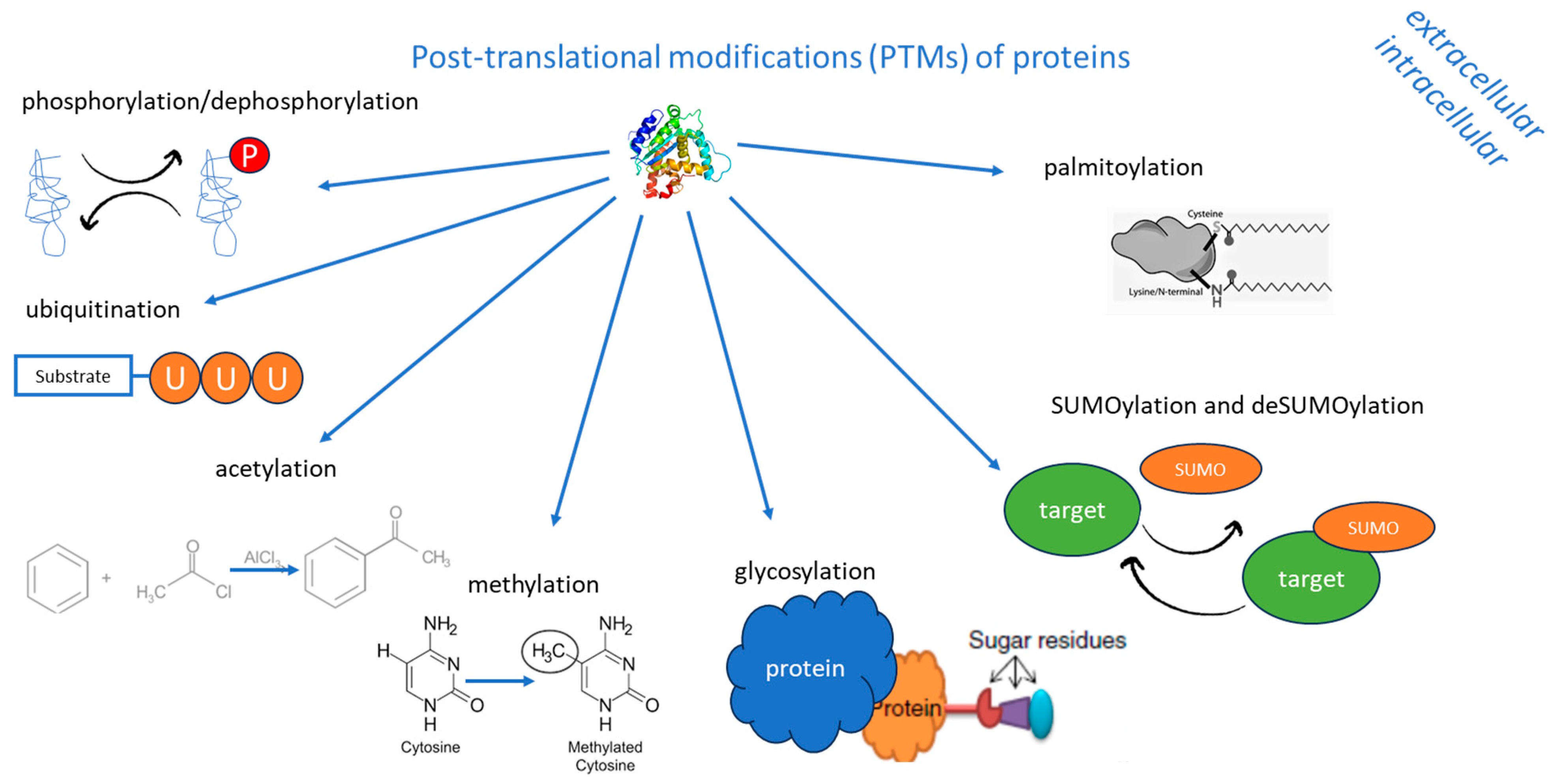 Molecules 30 00645 g001