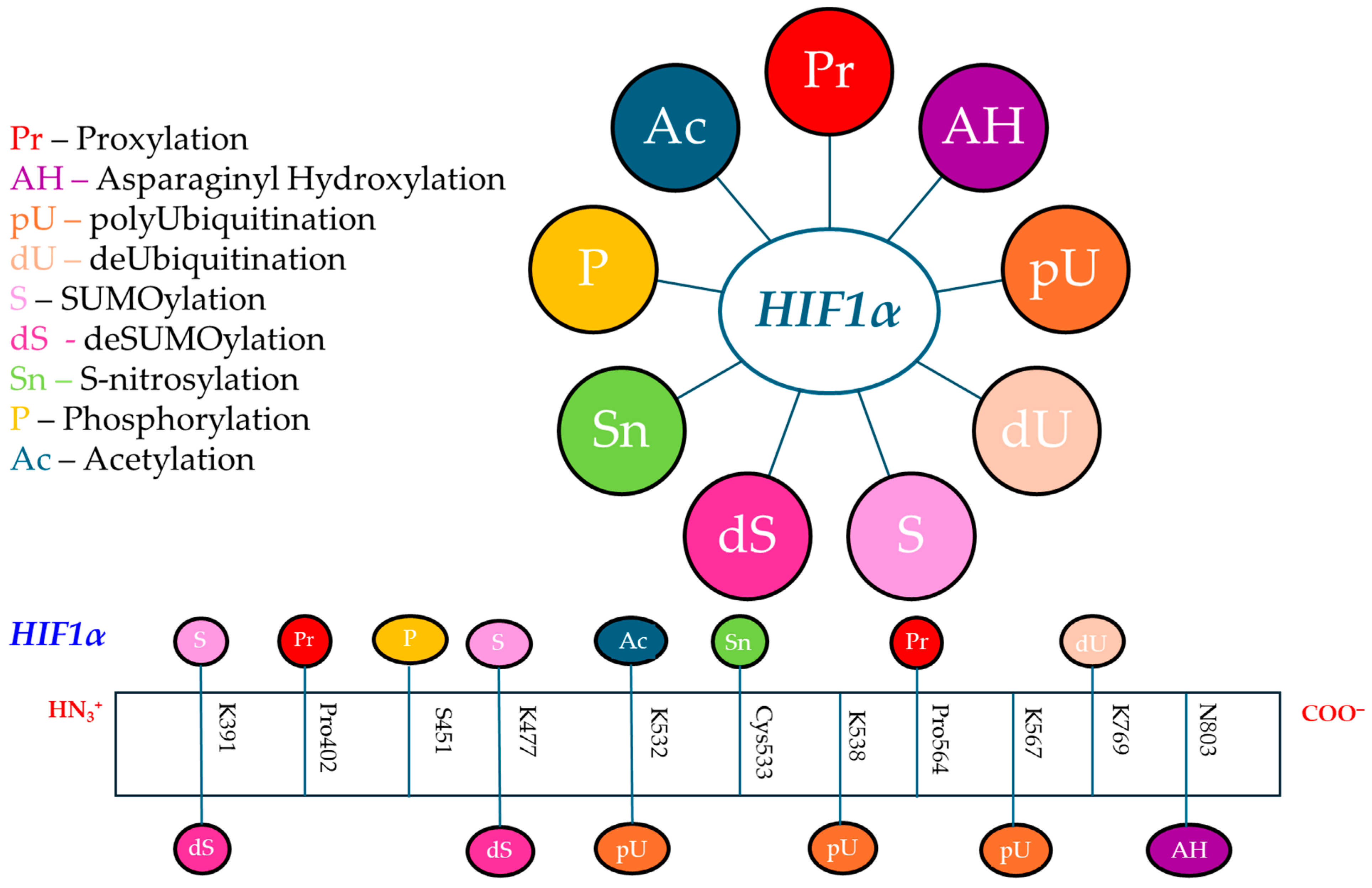 Molecules 30 00645 g002