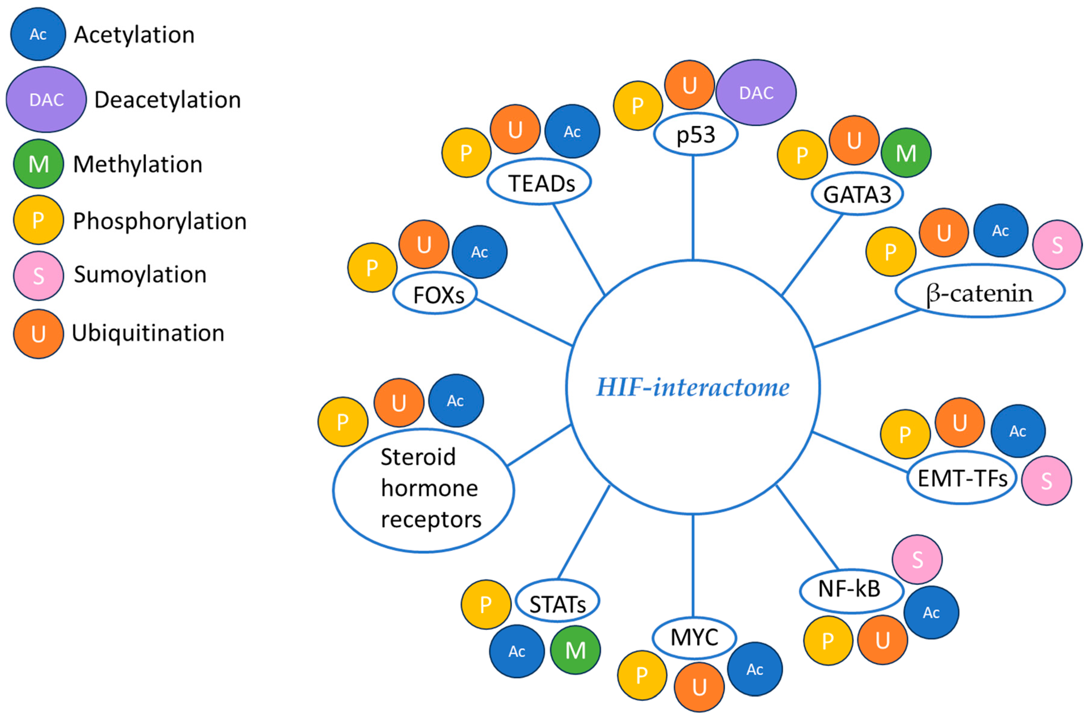 Molecules 30 00645 g003