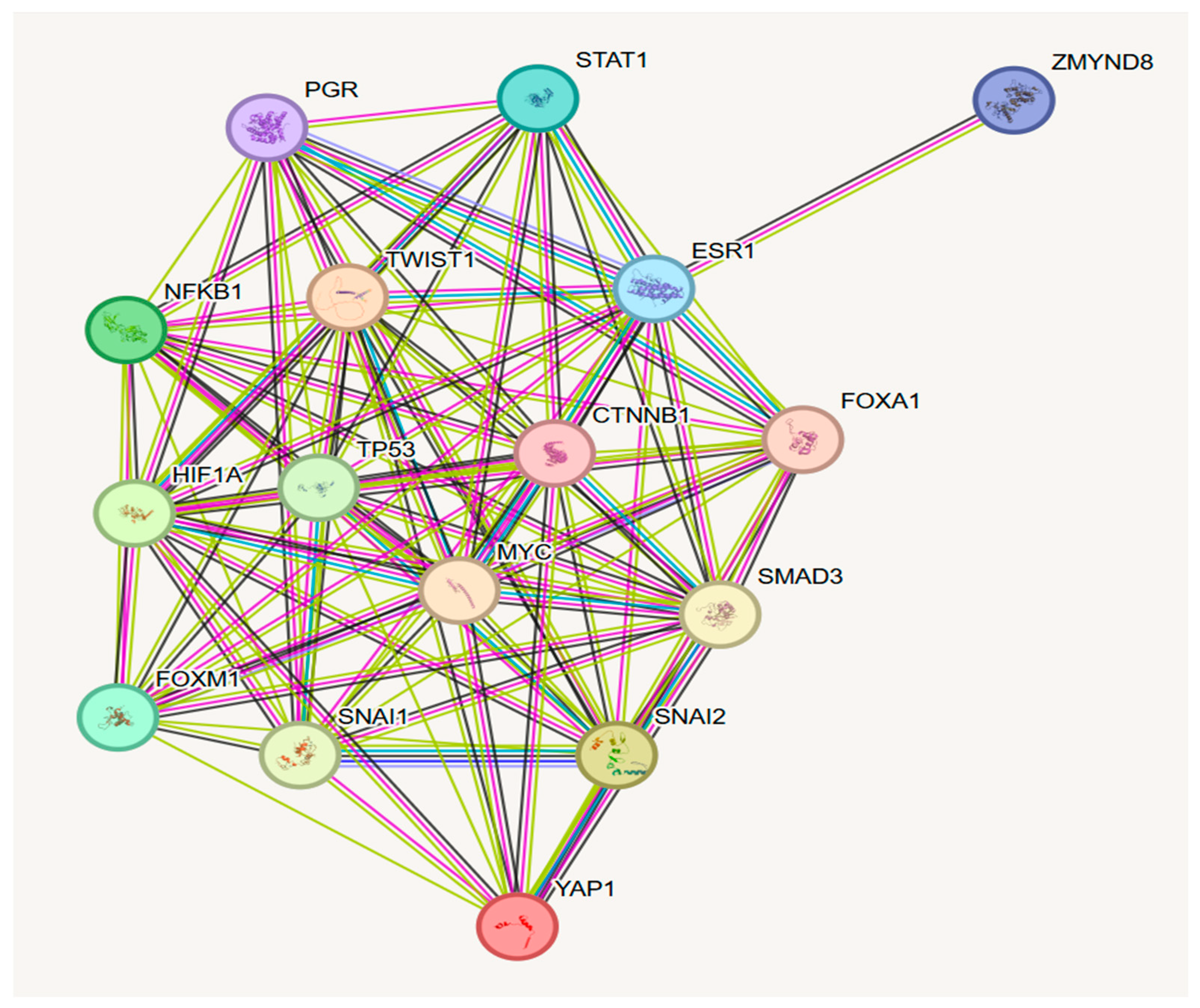 Molecules 30 00645 g004