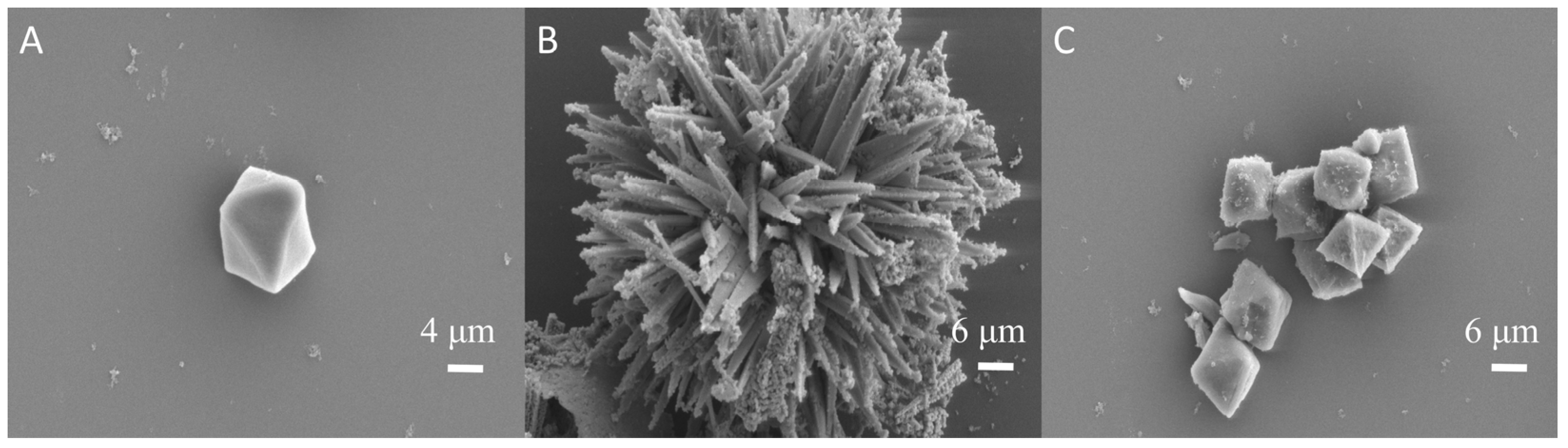 Molecules 30 00646 g001