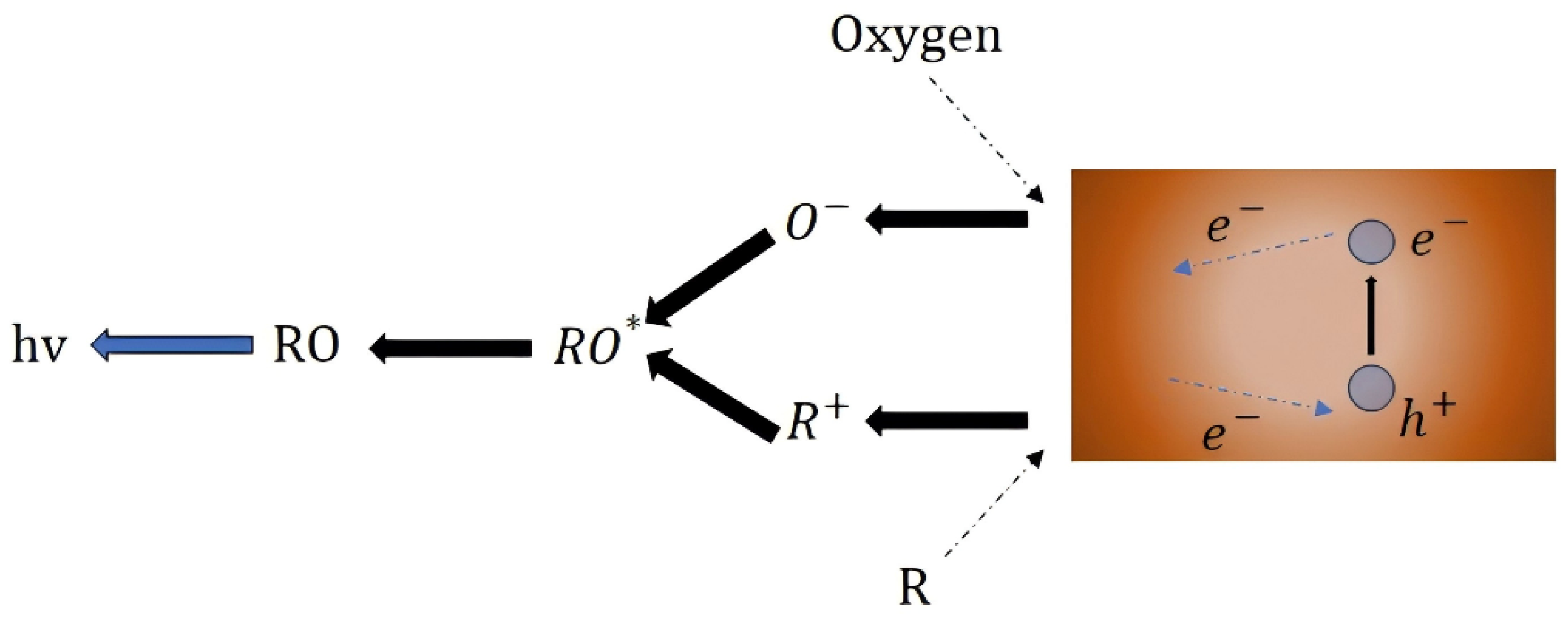 Molecules 30 00646 g008