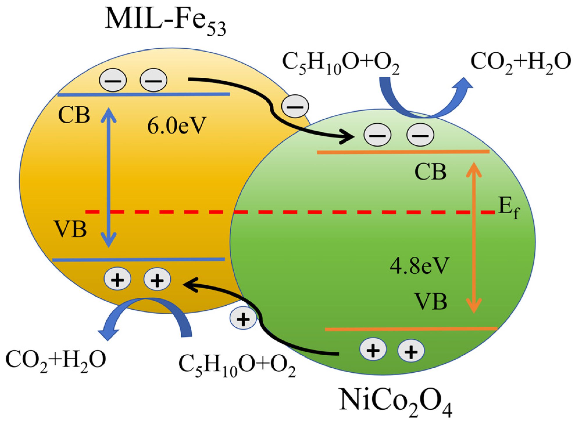 Molecules 30 00646 g009