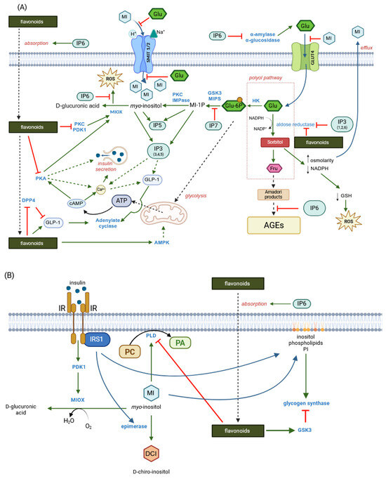Molecules 30 00652 g004