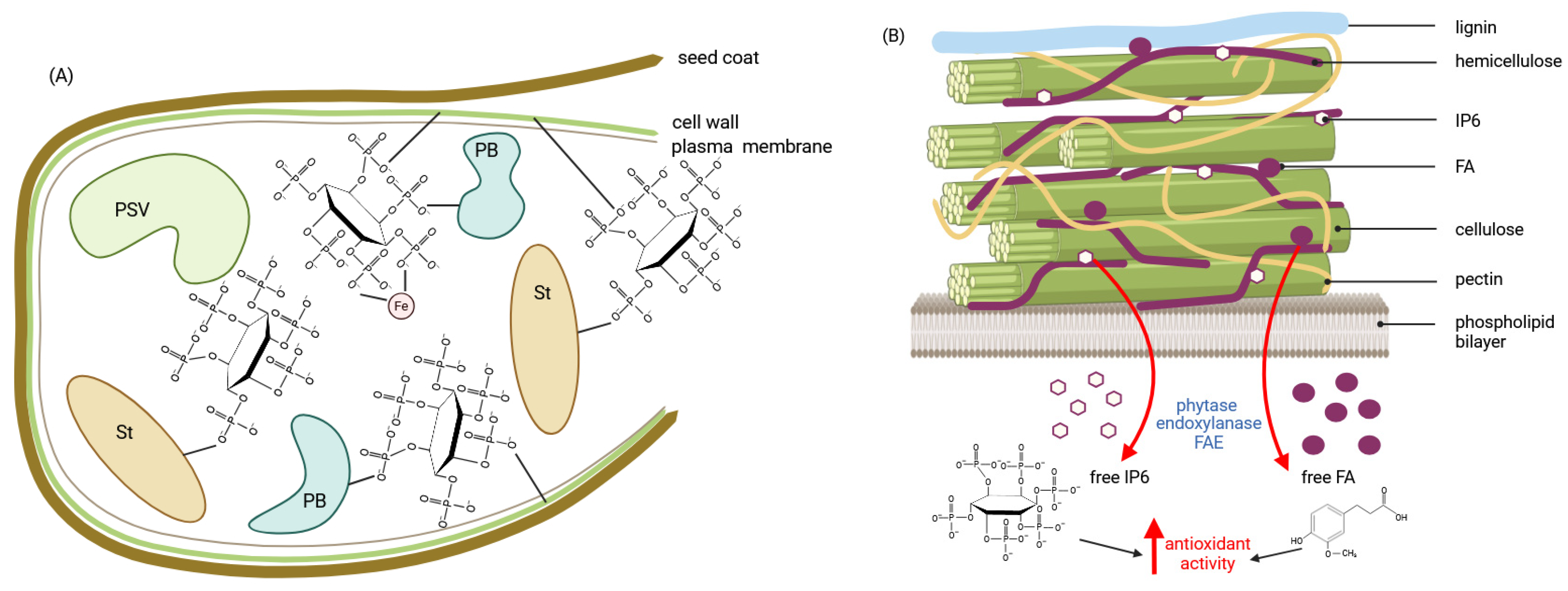 Molecules 30 00652 g007