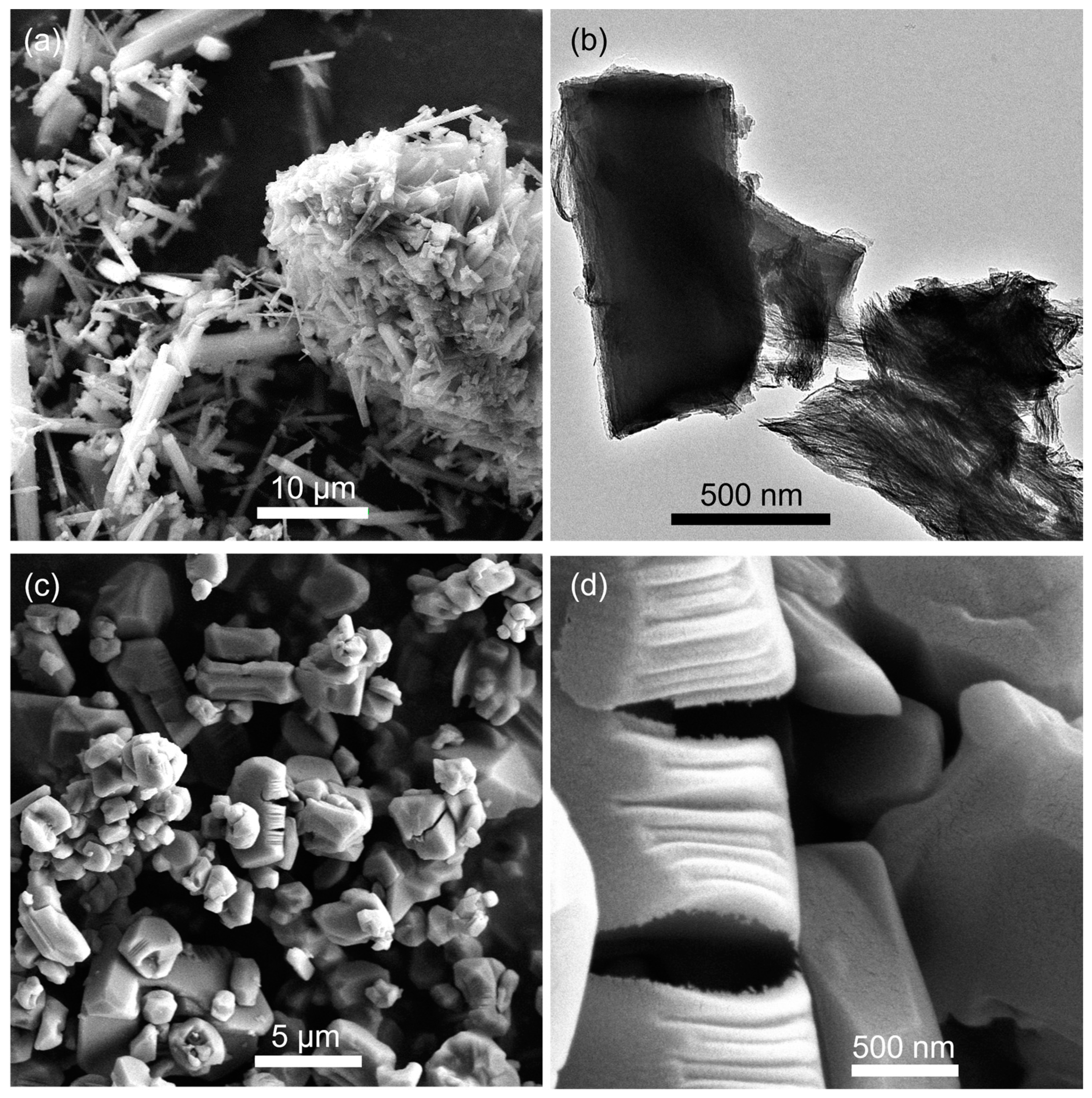 Molecules 30 00656 g002