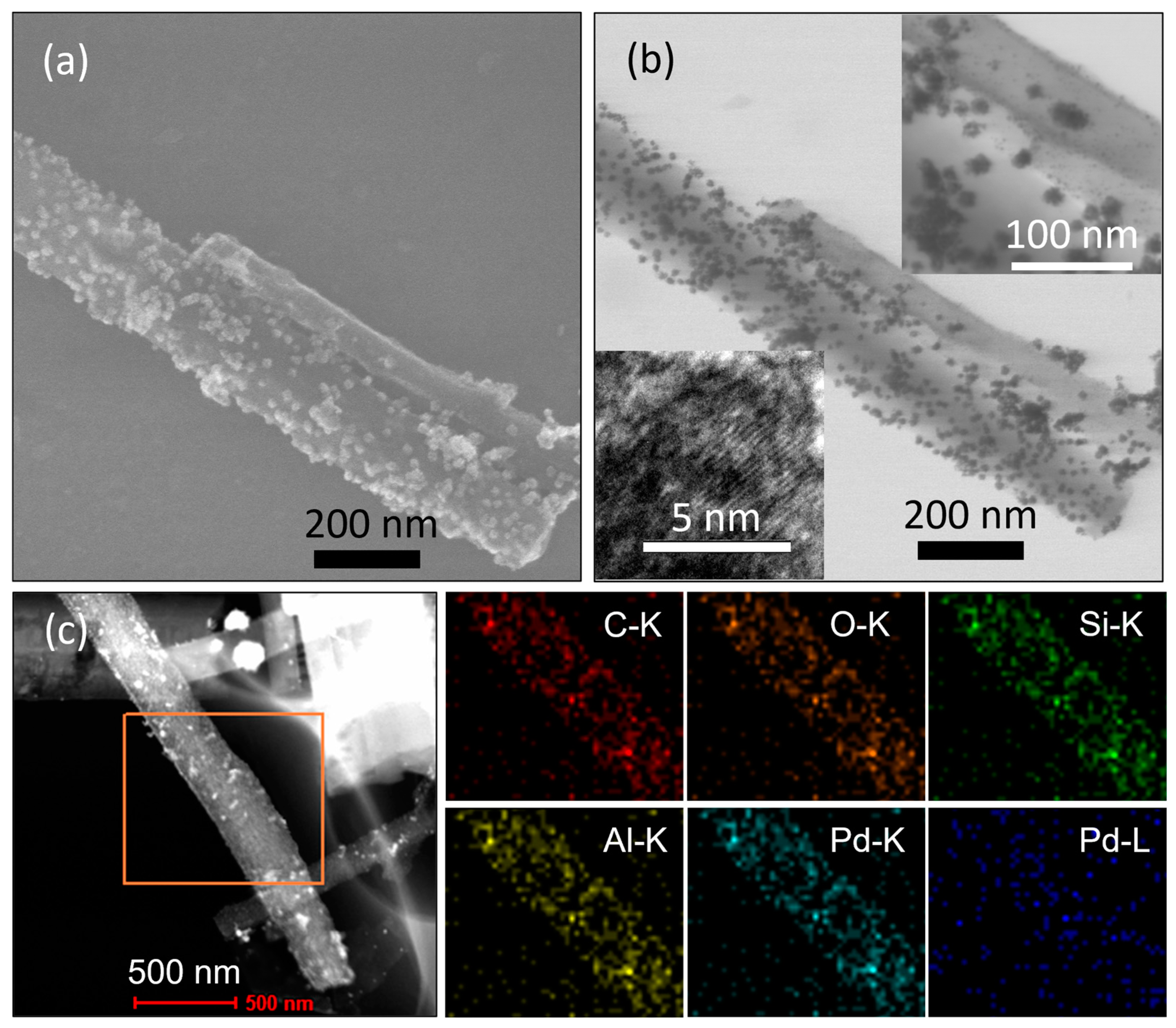 Molecules 30 00656 g005