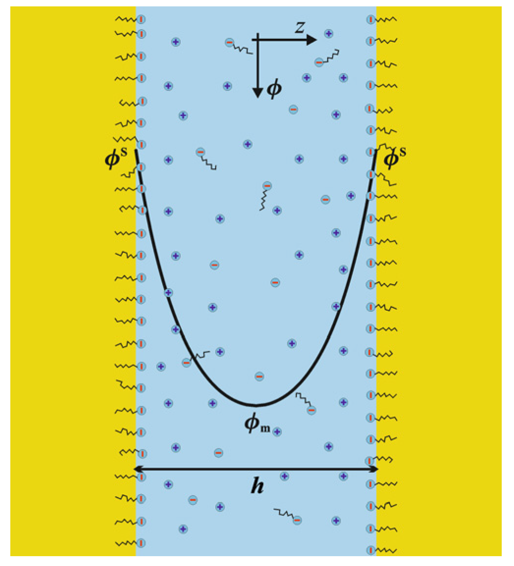 Molecules 30 00659 g001