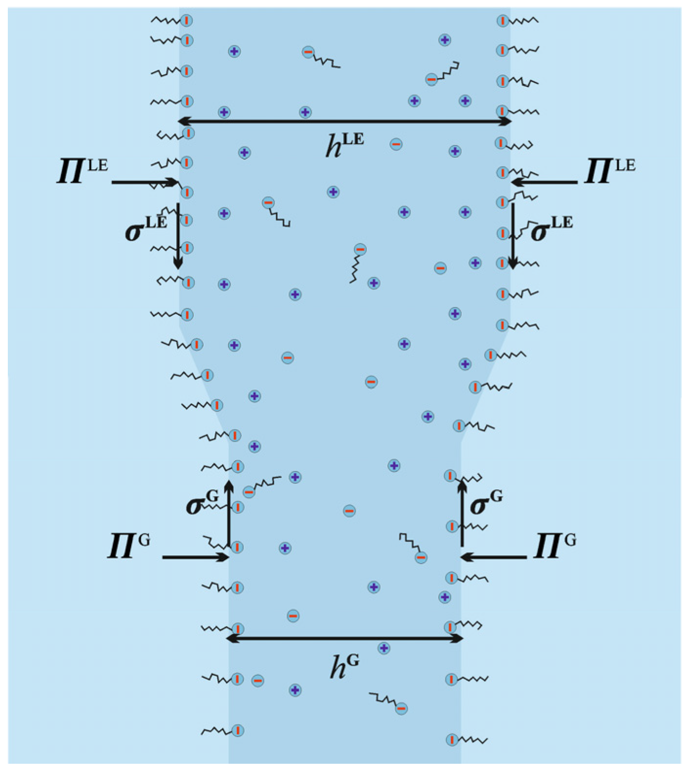 Molecules 30 00659 g003