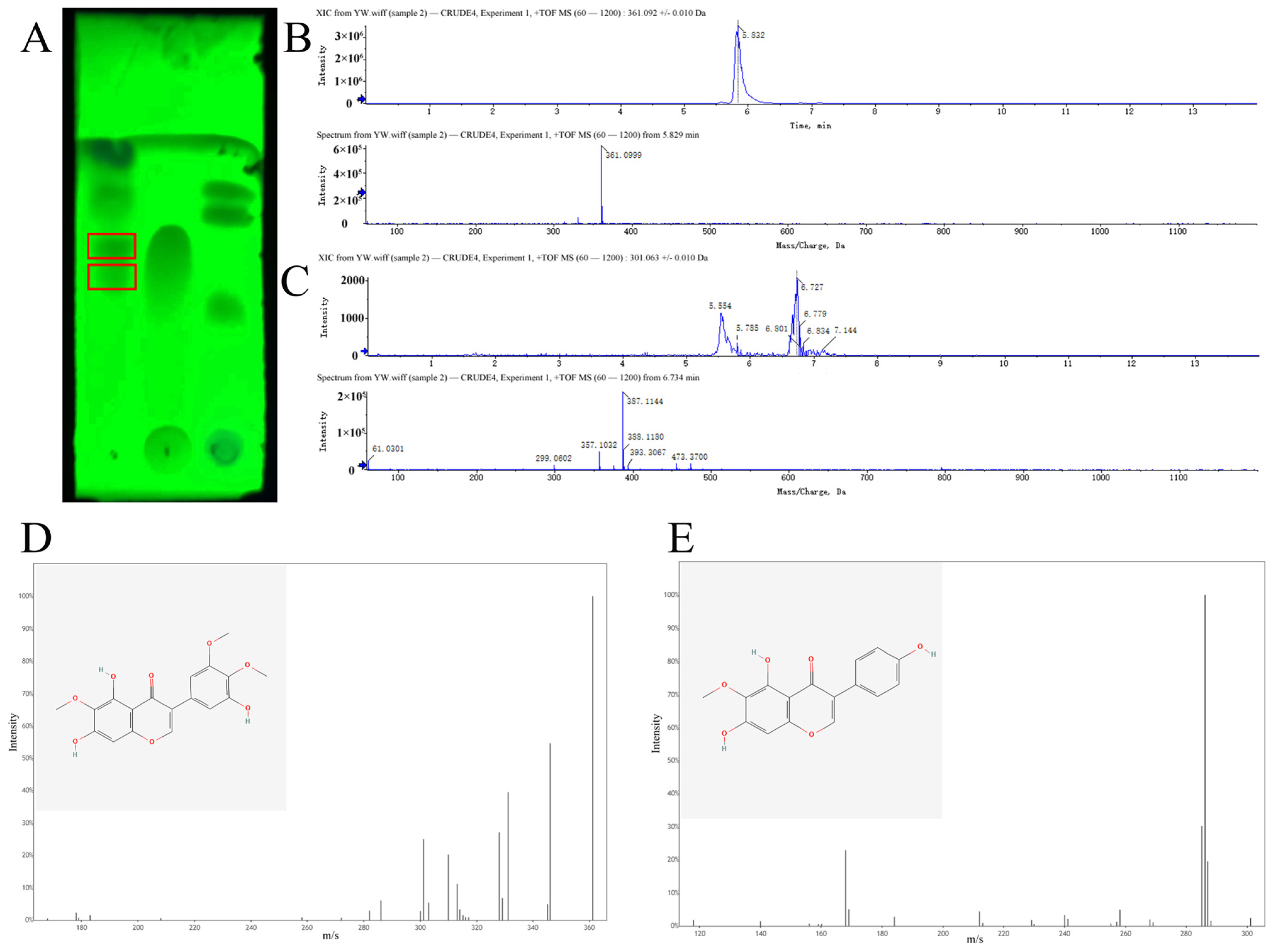 Molecules 30 00663 g004