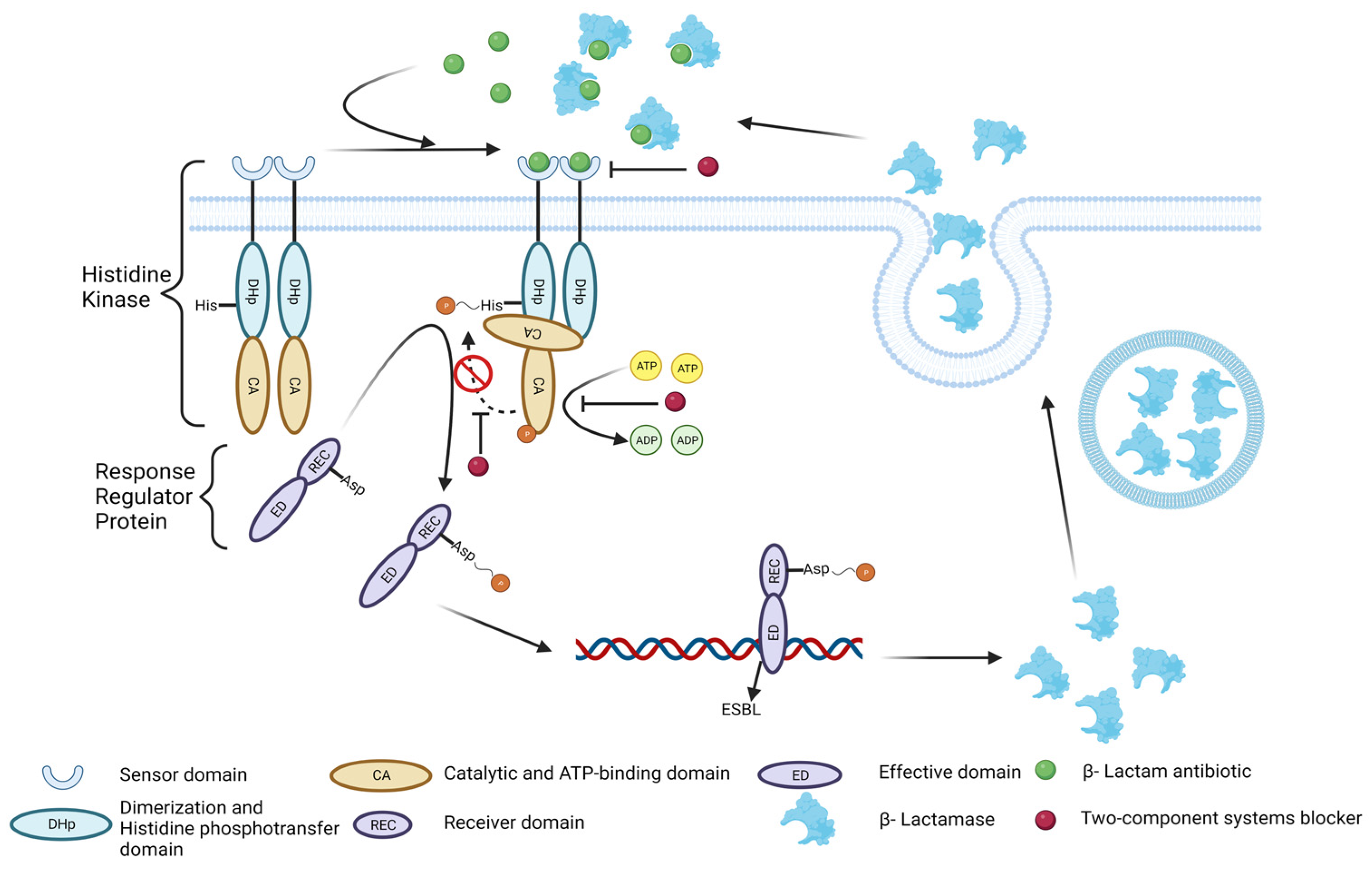 Molecules 30 00663 g006