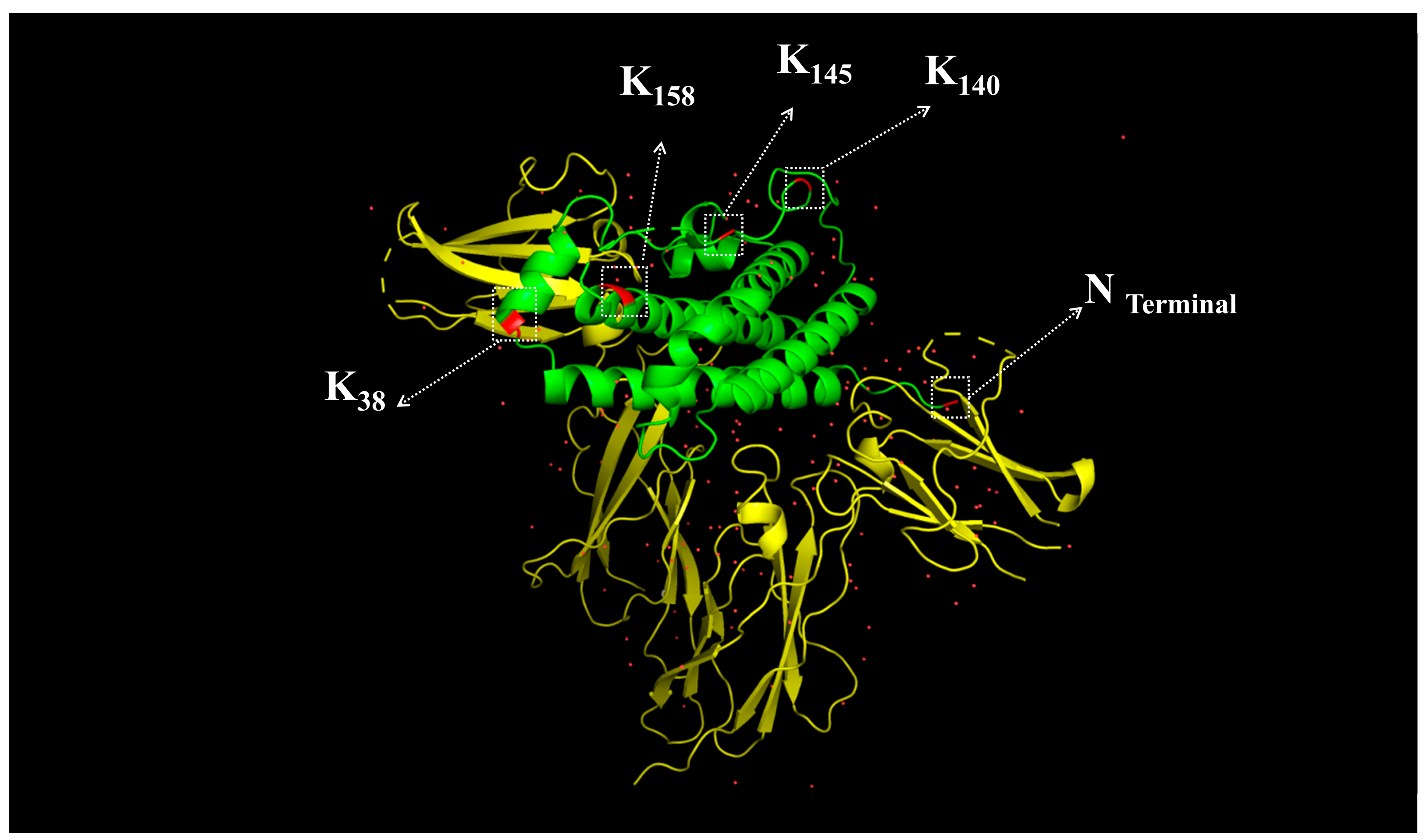 Molecules 30 00669 g009