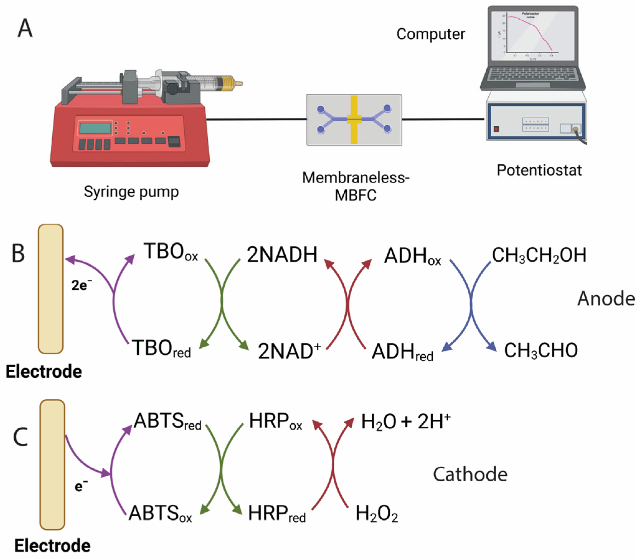 Molecules 30 00673 g001
