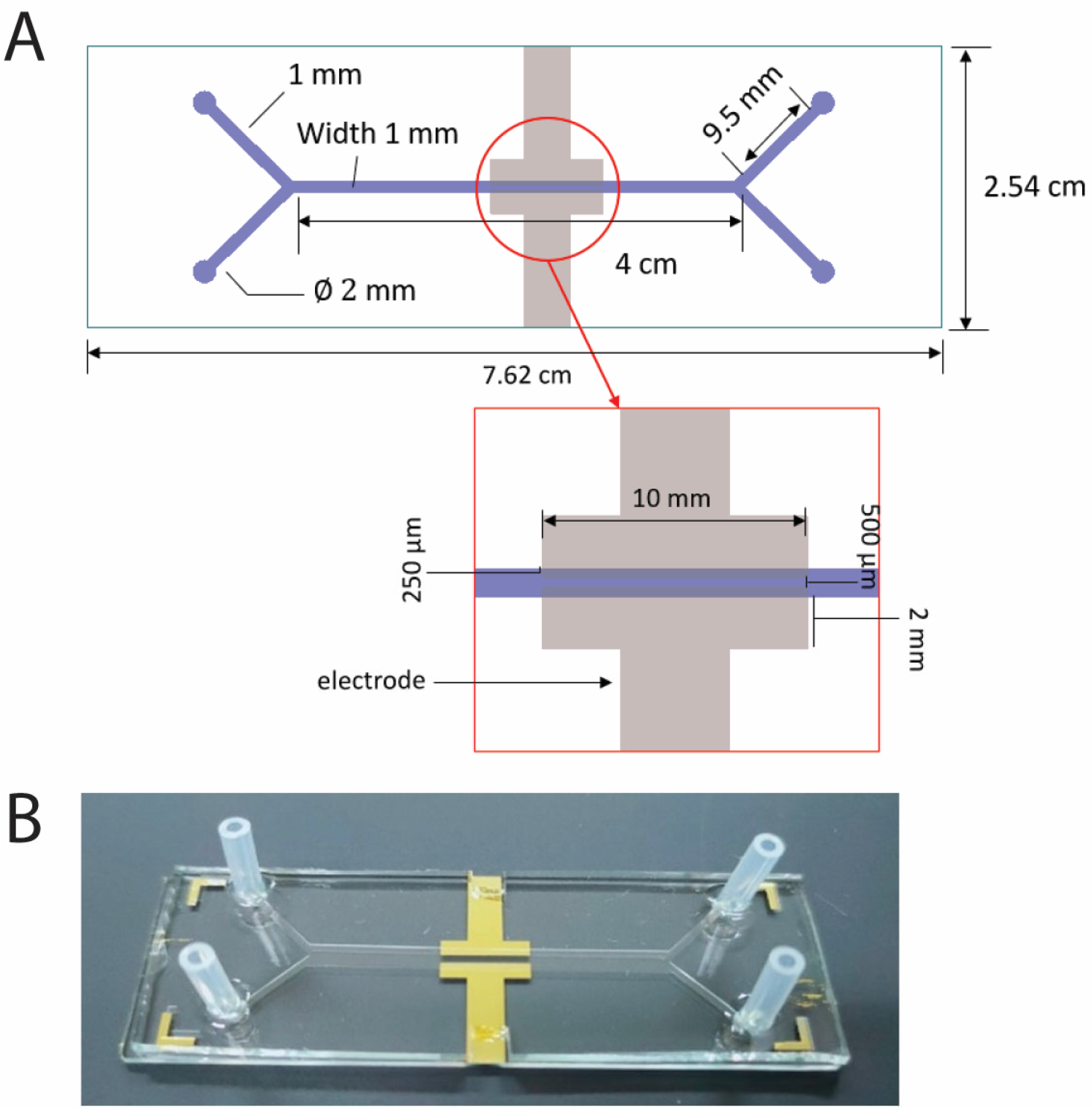 Molecules 30 00673 g004