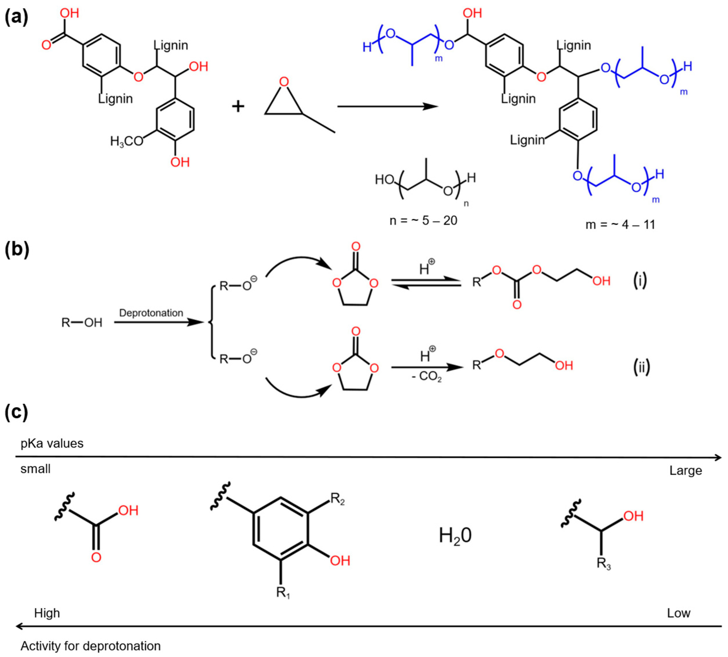 Molecules 30 00678 g005