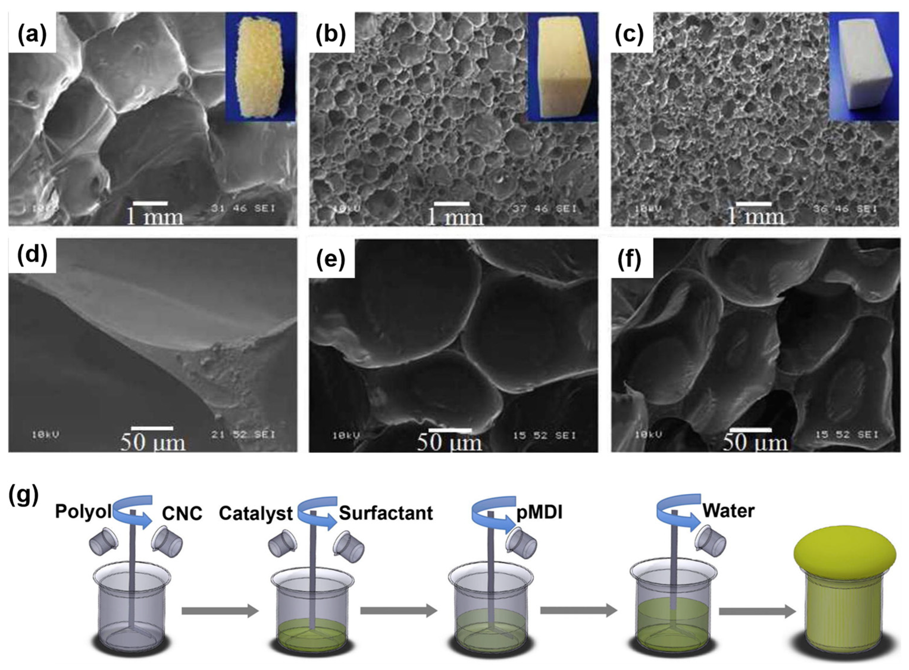 Molecules 30 00678 g006