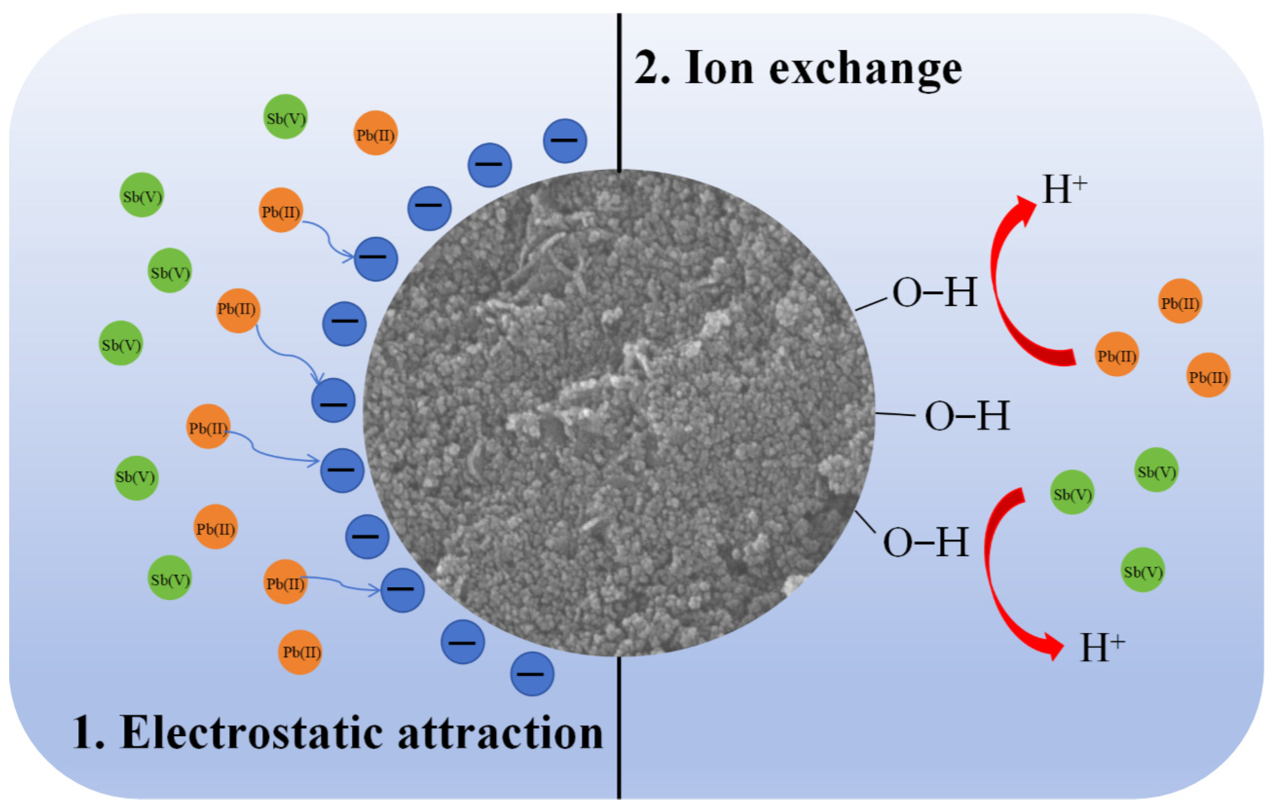 Molecules 30 00679 g010